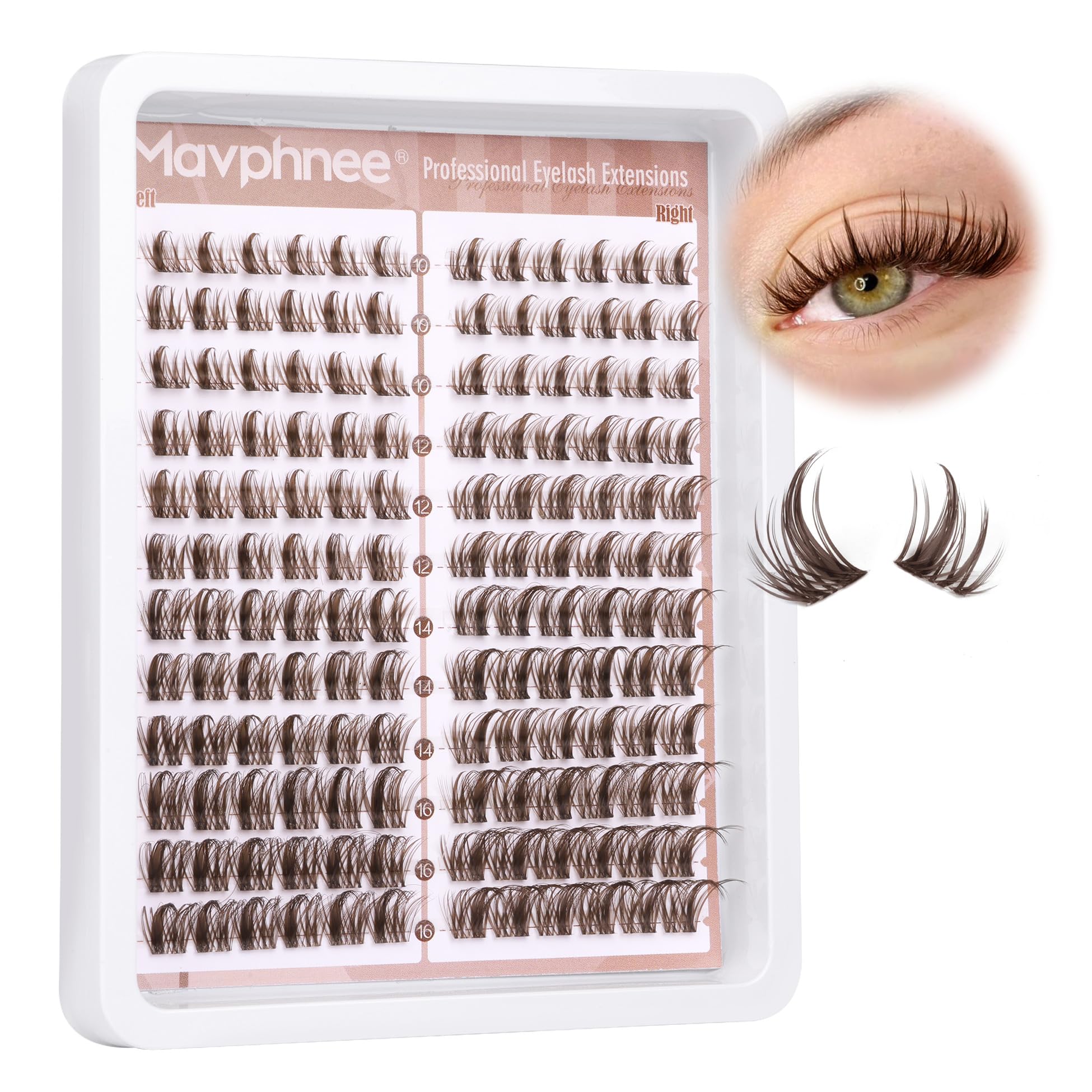 Brown Lash Clusters Natural Lash Individuals 144 Pcs Eyelash Extensions Wispy Lash Extensions D-Curly Dark Brown Eyelash Clusters 10-16MM DIY False Eyelashes at Home by Mavphnee