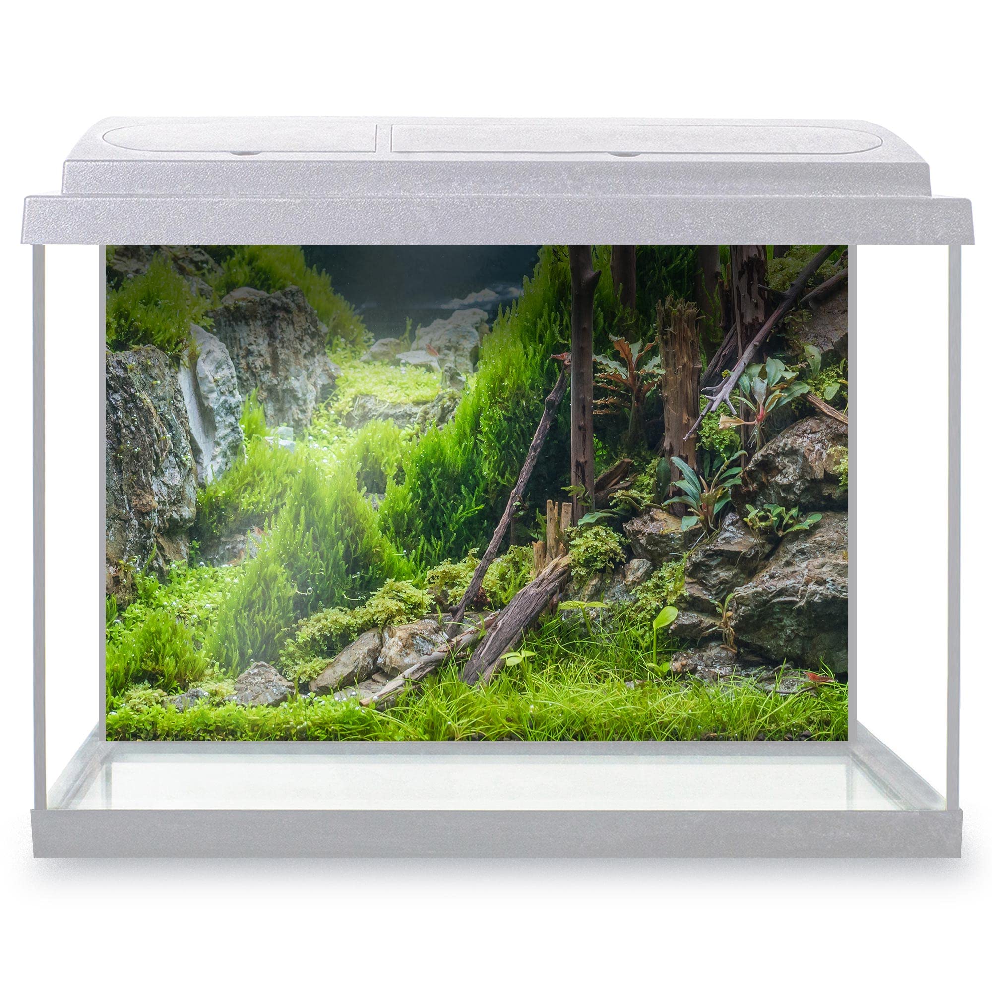 DV DESIGN Aquarium Fish Tank Background 62x42 cm - Forest Nature Style Tank Variety Aquatic Plants Moss Aquatic Image Static Cling Vinyl Vivarium Terrarium External Application #500004