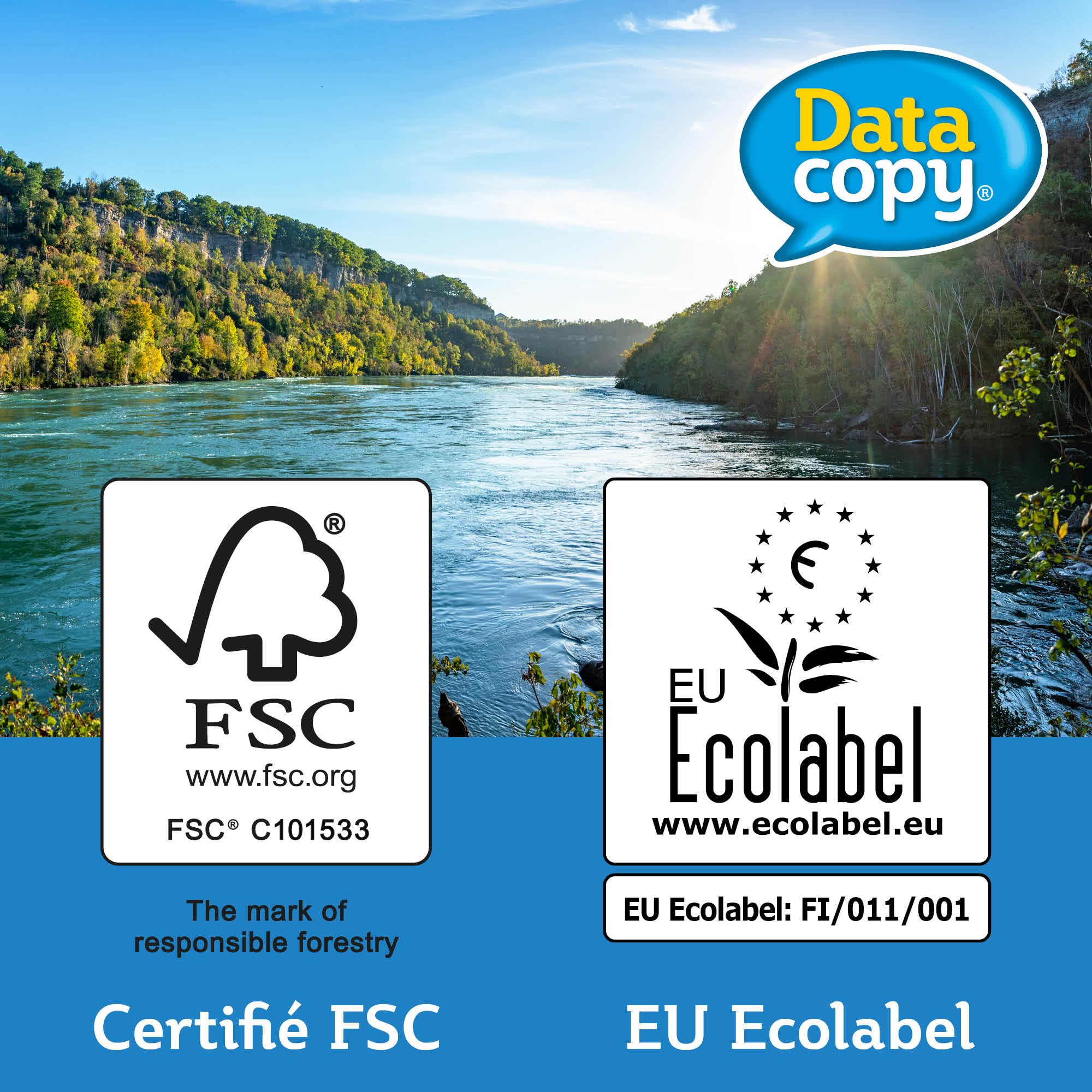 Data Copy - Papier premium Blanc 90 g/m² A4 - Carton de 5 x 500 feuilles