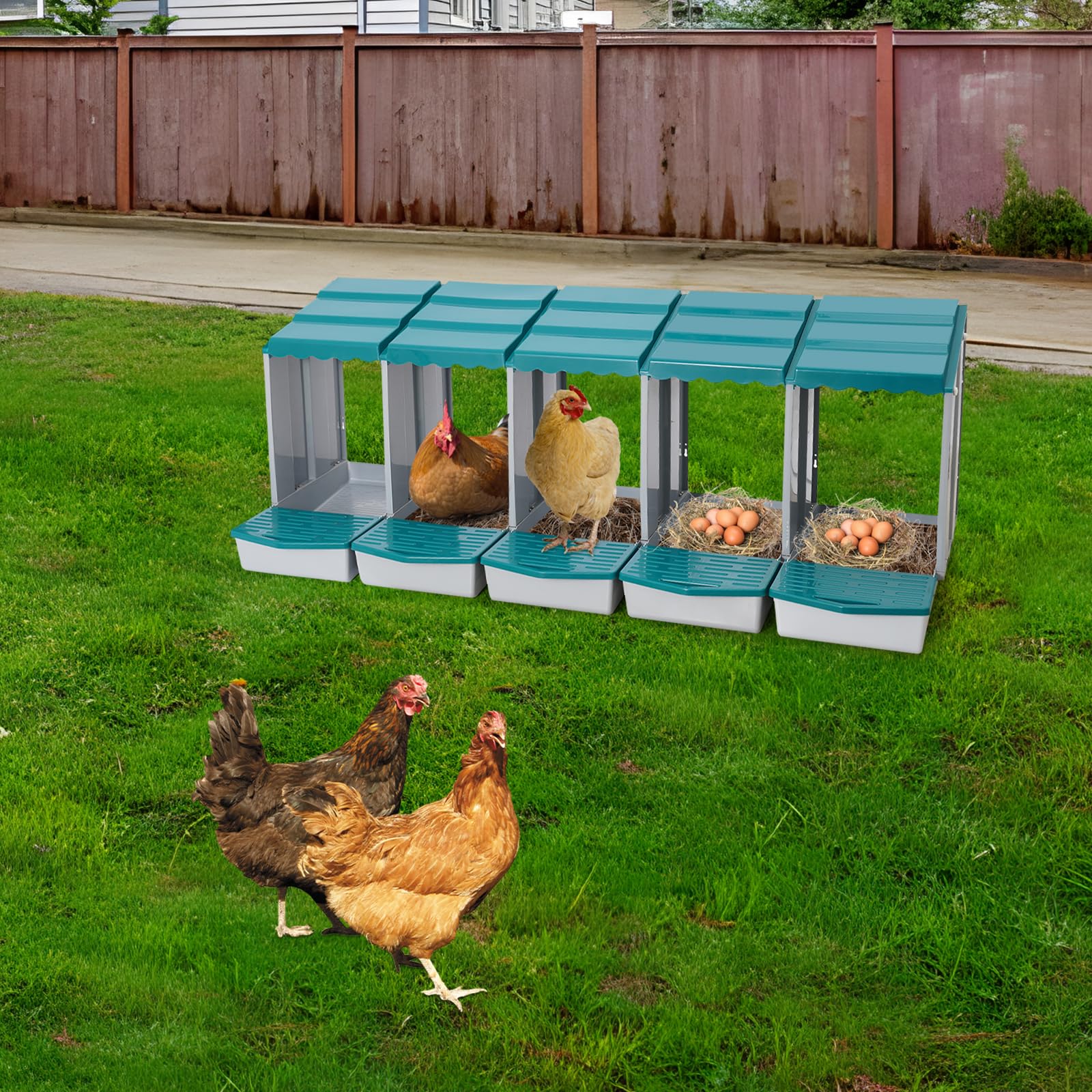 Gallinero nido para gallinero, accesorios, caja con recogehuevos, de material PP, para montaje en pared o de pie en exteriores, cría de pollos (verde, 5 compartimentos)