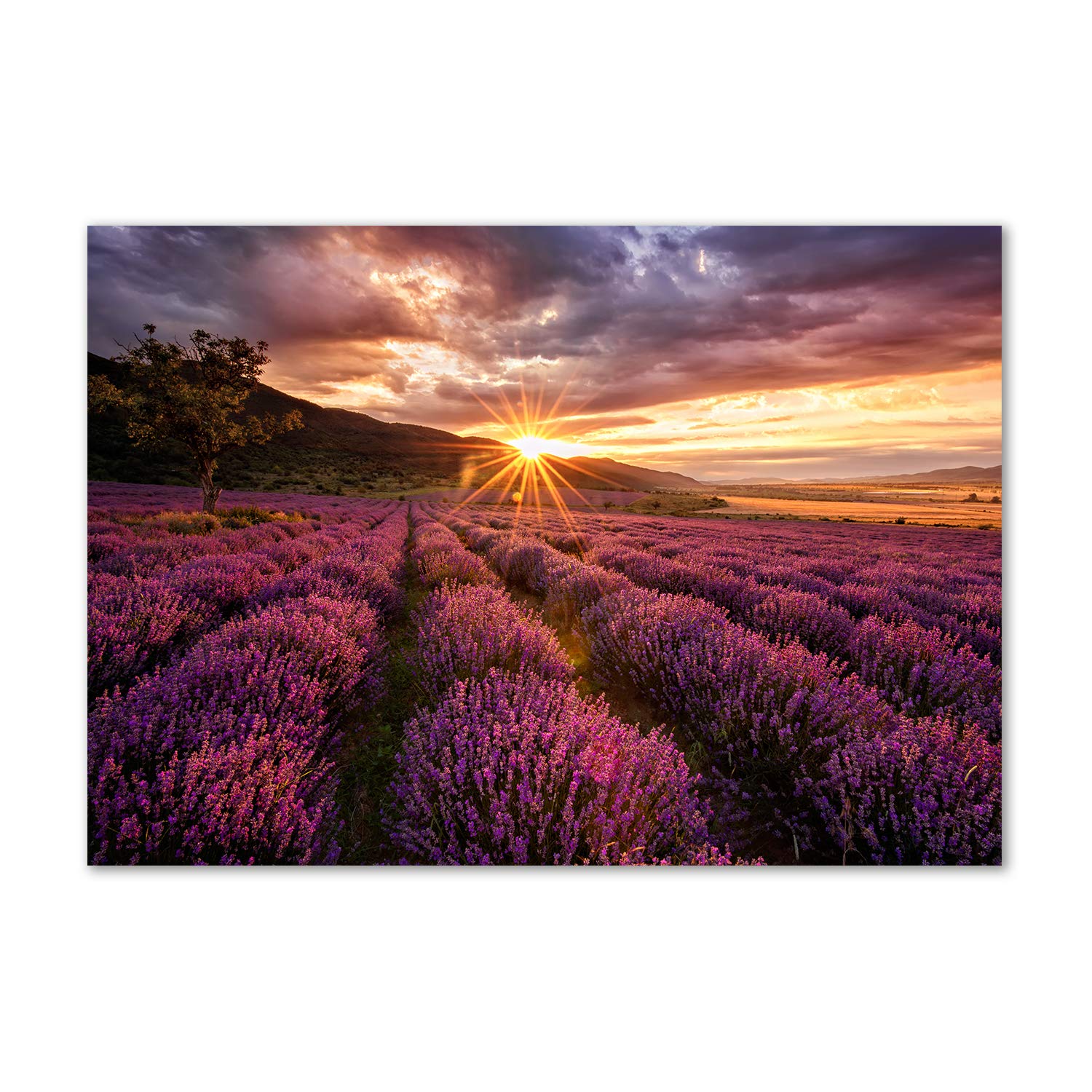 Tableau en verre acrylique champ de lavande violette déco murale Tulup