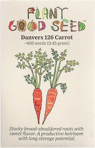 Miniatura 3 de Plant Good Seed Semillas orgánicas de zanahoria púrpura dragón  Paquete de 400, semillas tradicionales para plantar verduras, suministros de