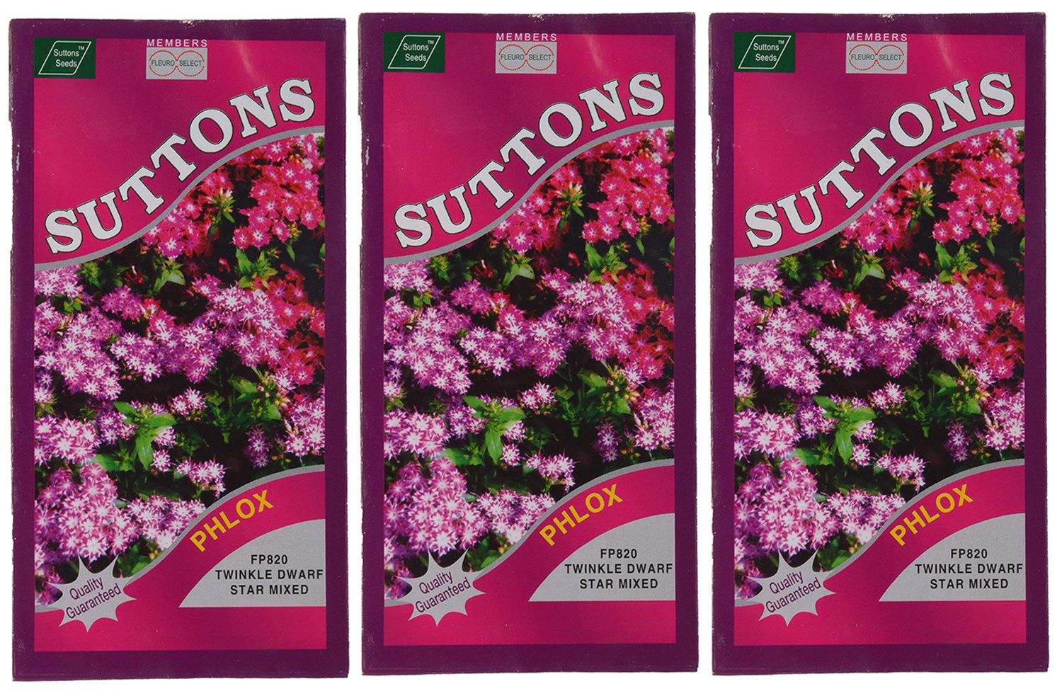 Sutton Seeds 23 Phlox Twinkle Dwarf Star Mix Flower Seeds (Pack of 3, 100 Seeds) (B013I7AV32) Amazon Price History, Amazon Price Tracker