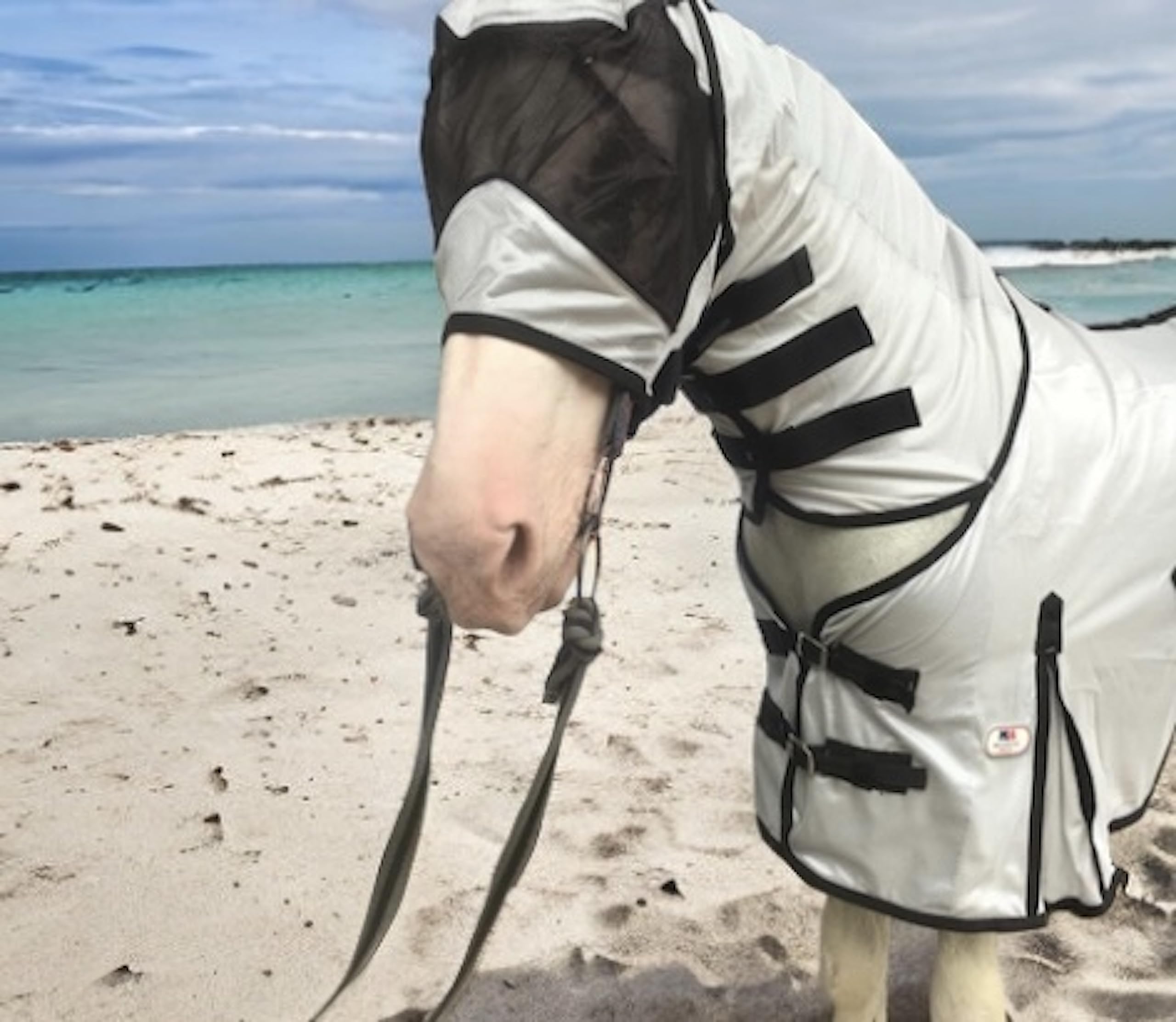 Majestic Ally Sábana para moscas de caballo con cubierta para el cuello y máscara para la cabeza, protección transpirable contra rayos UV y mordeduras, correas ajustables para el cuerpo, accesorio de