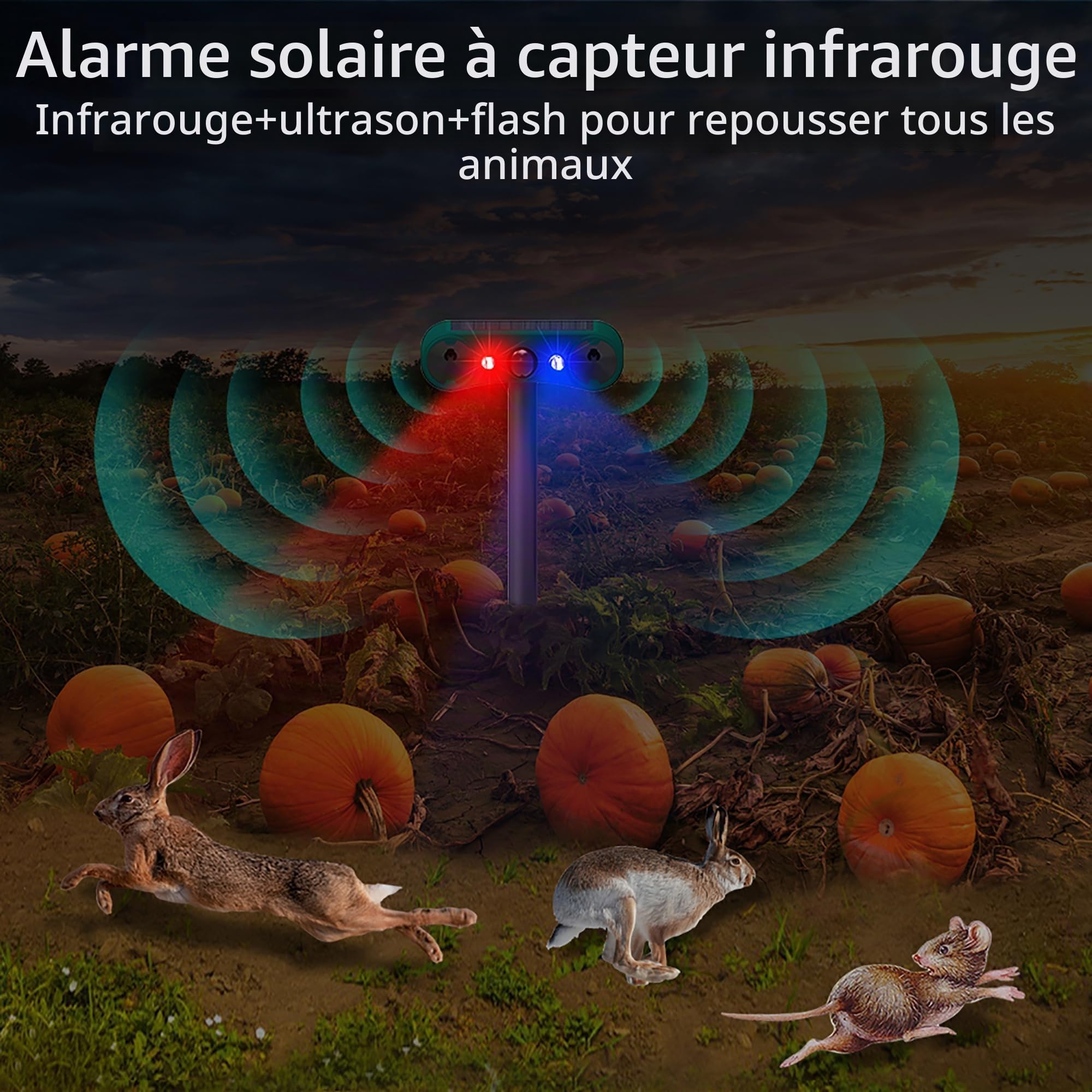 Détecteur de mouvement solaire extérieur de la marque Compass : alarme à induction infrarouge à ultrasons améliorée IP65 avec lumière clignotante rouge/bleue
