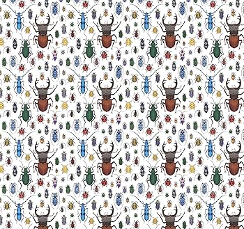 ラッピング・包装 planariidae fit=scale-down,w=1200