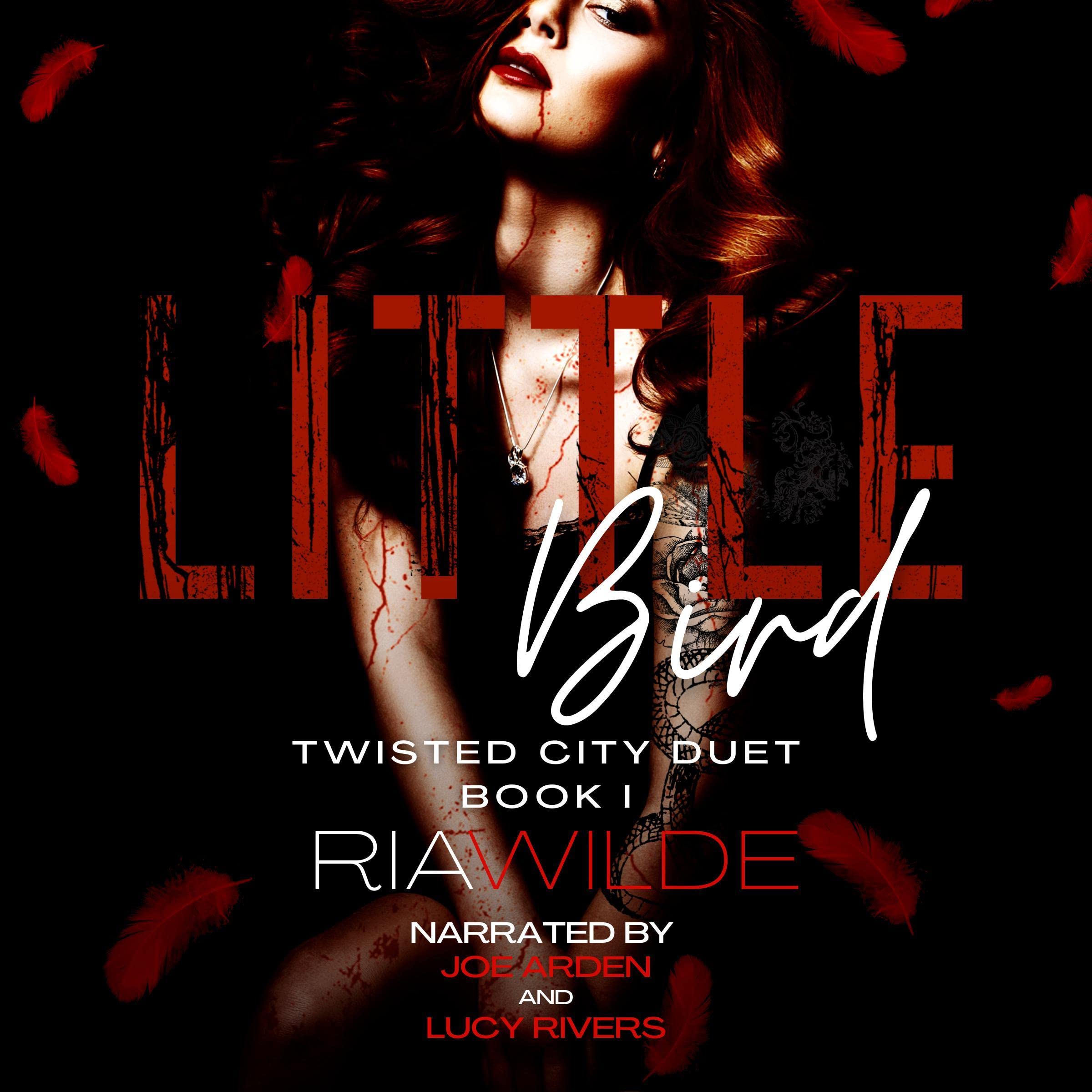 Cover art for Little Bird