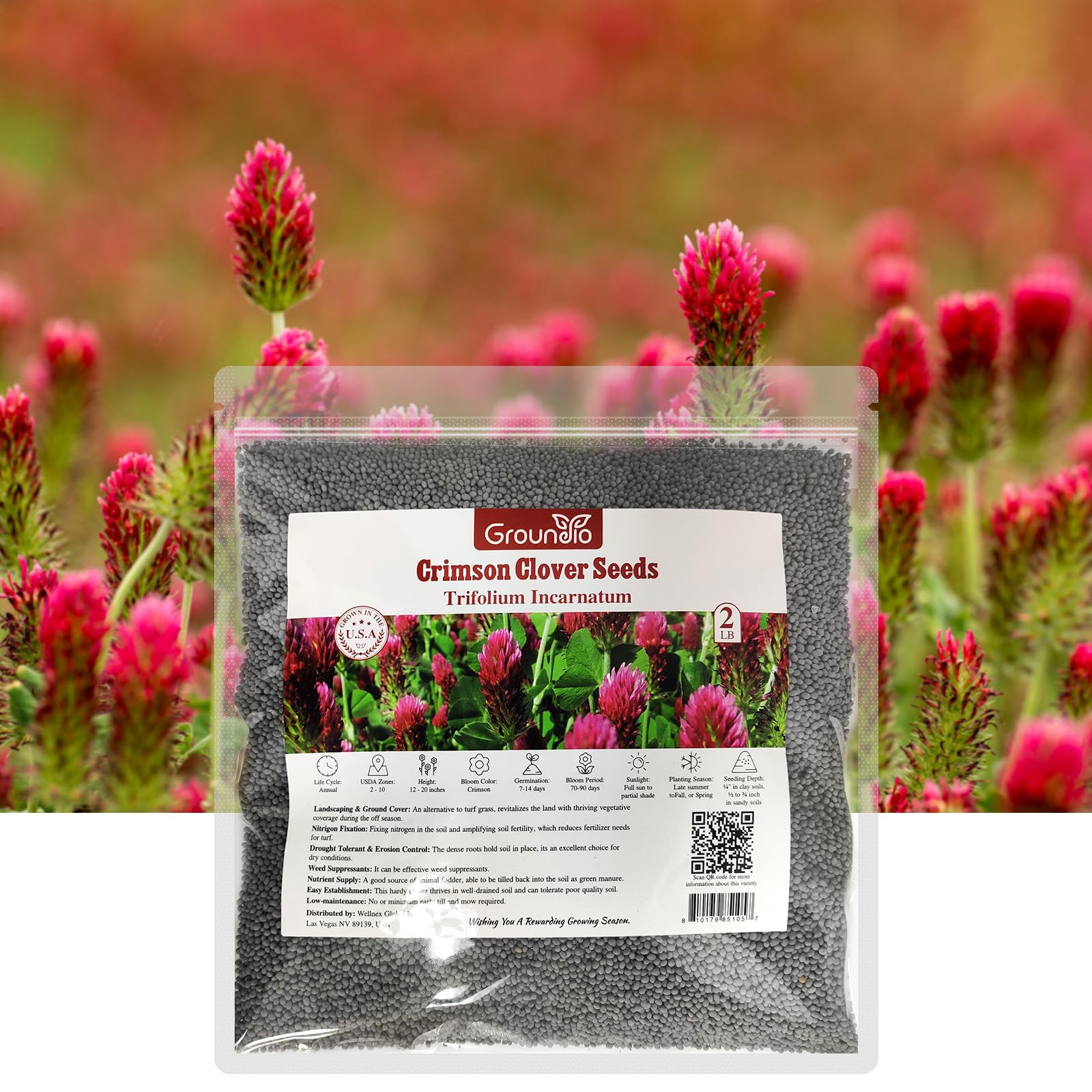 Groundio Annual Crimson Clover Seeds