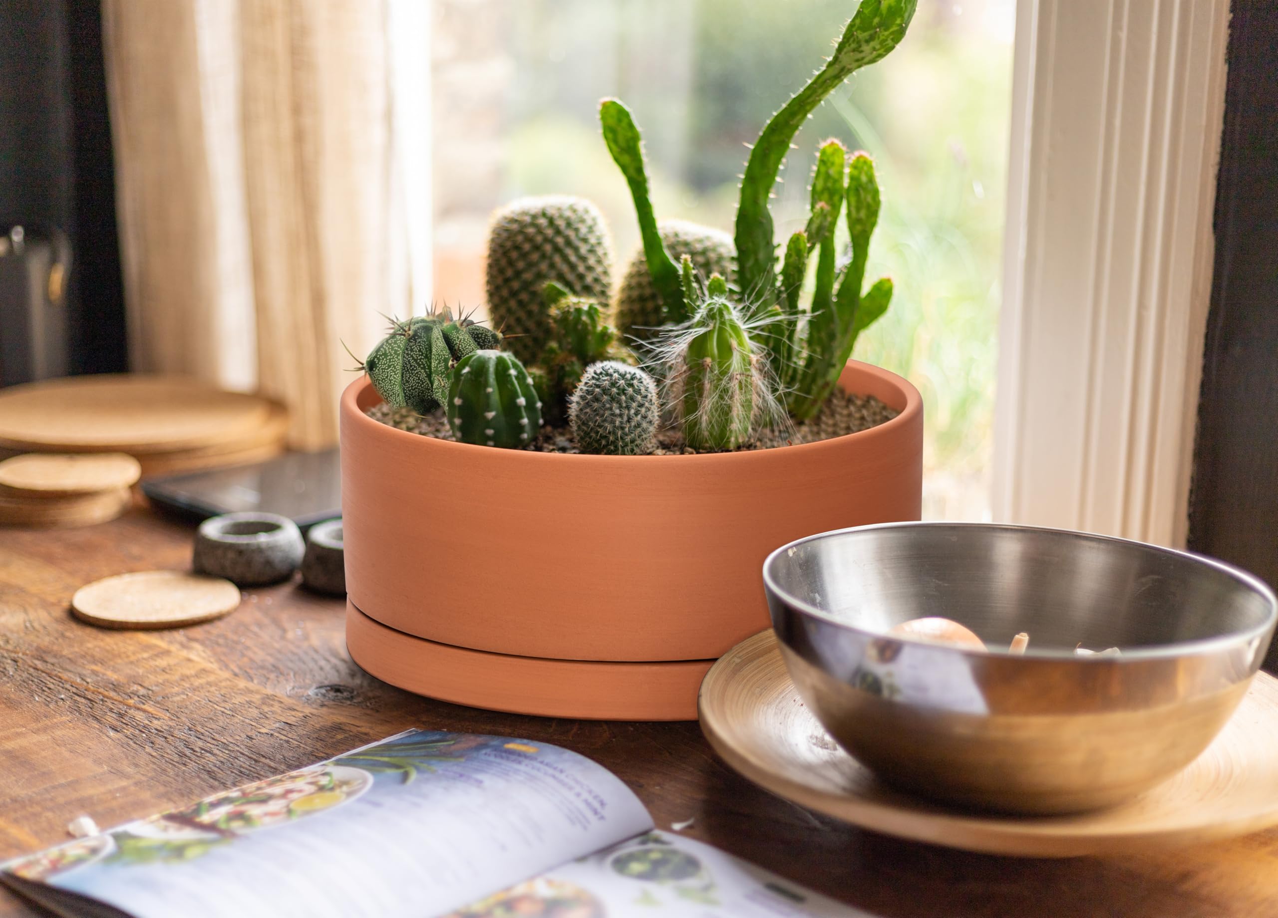 Amazon.com: D'vine Dev 12 Inch Succulent Terracotta Shallow Pot with Drainage Hole and Saucer, Round Cylinder Planter Pot for Plant Flower, 40-Y-C-0 : Patio, Lawn & Garden