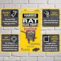 Vista 3 de Harris Trampas de pegamento para ratas, totalmente desechables (paquete de 2)