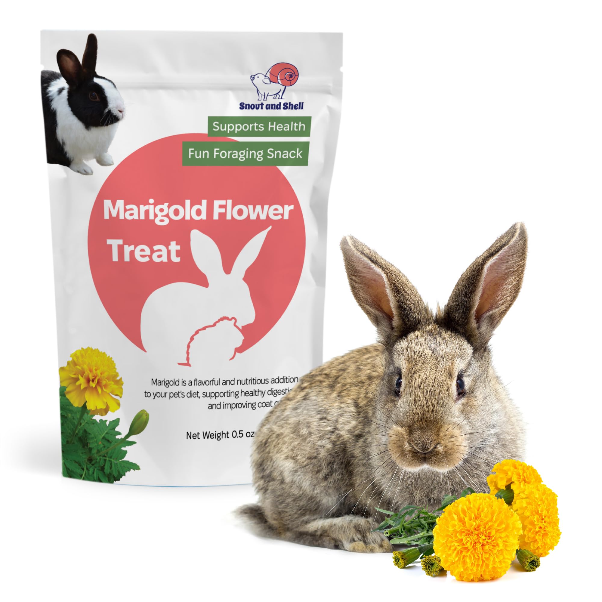 Snout and Shell Marigold Flower Treat for Small Pets – Organic, Healthy Digestive Support – Fun Foraging Snack for Rabbits, Guinea Pigs, Chinchillas,