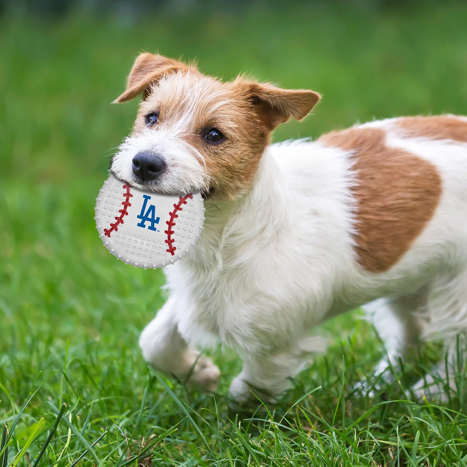 Pets First MLB LA Dodgers Hard-Nylon Bacon-Flavored Baseball Chew Toy, Indestructible Dog and Cat Chewy Toy, Tug, Fetch Toy, Sporty Fun Toy for Dogs