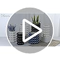 DILATATA 6 Inch Ceramic Planter Pot for Indoor Plants with Drainage Hole Bubble Flower Planter Hobnail Plant Pot Garden Planter White Succulent Plant Pot Utensil Holder