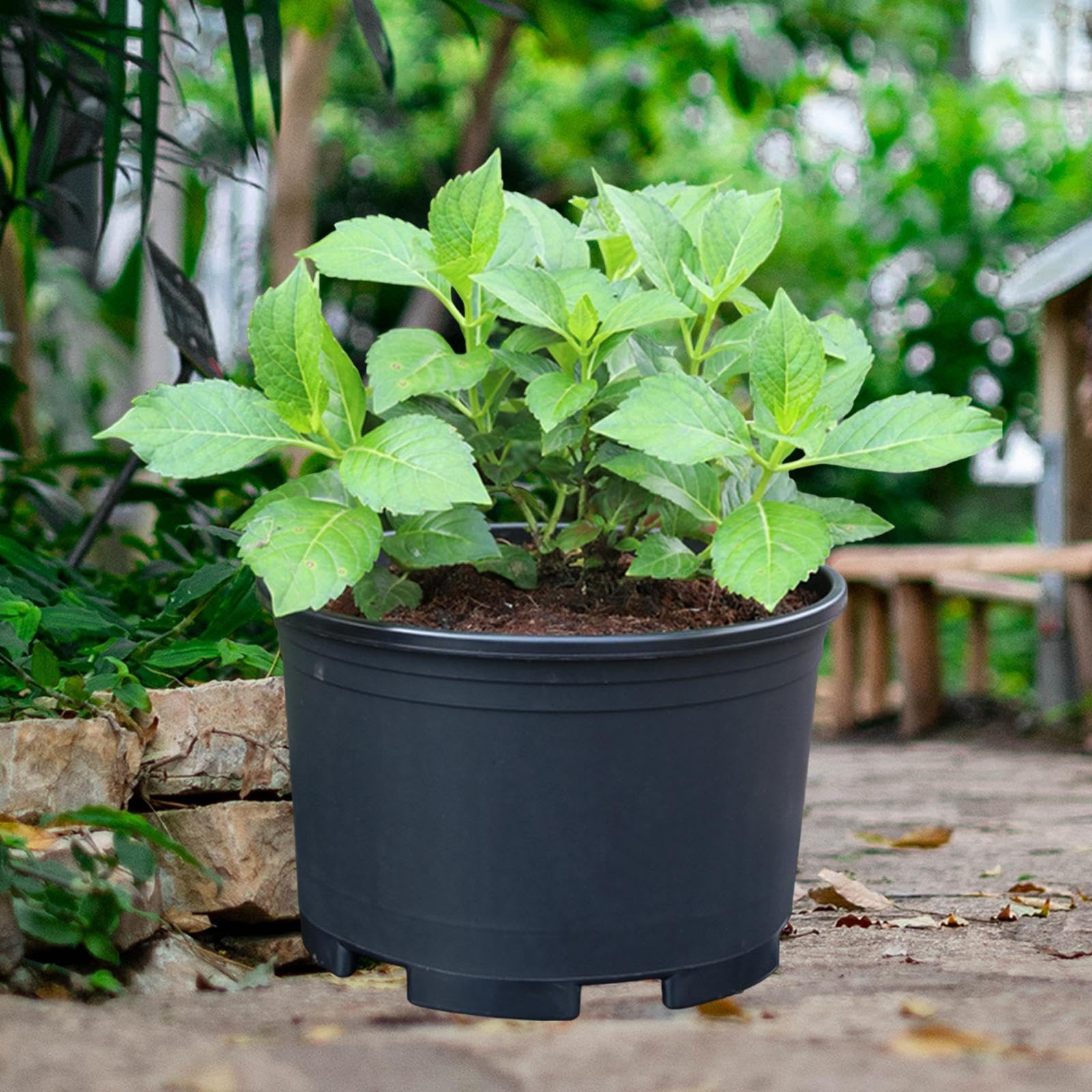 Pot de Fleurs avec Drainage, Pot de Pépinière Simple pour Fraisiers, Plantes D'intérieur, Violettes, Jardin, 45 Cm