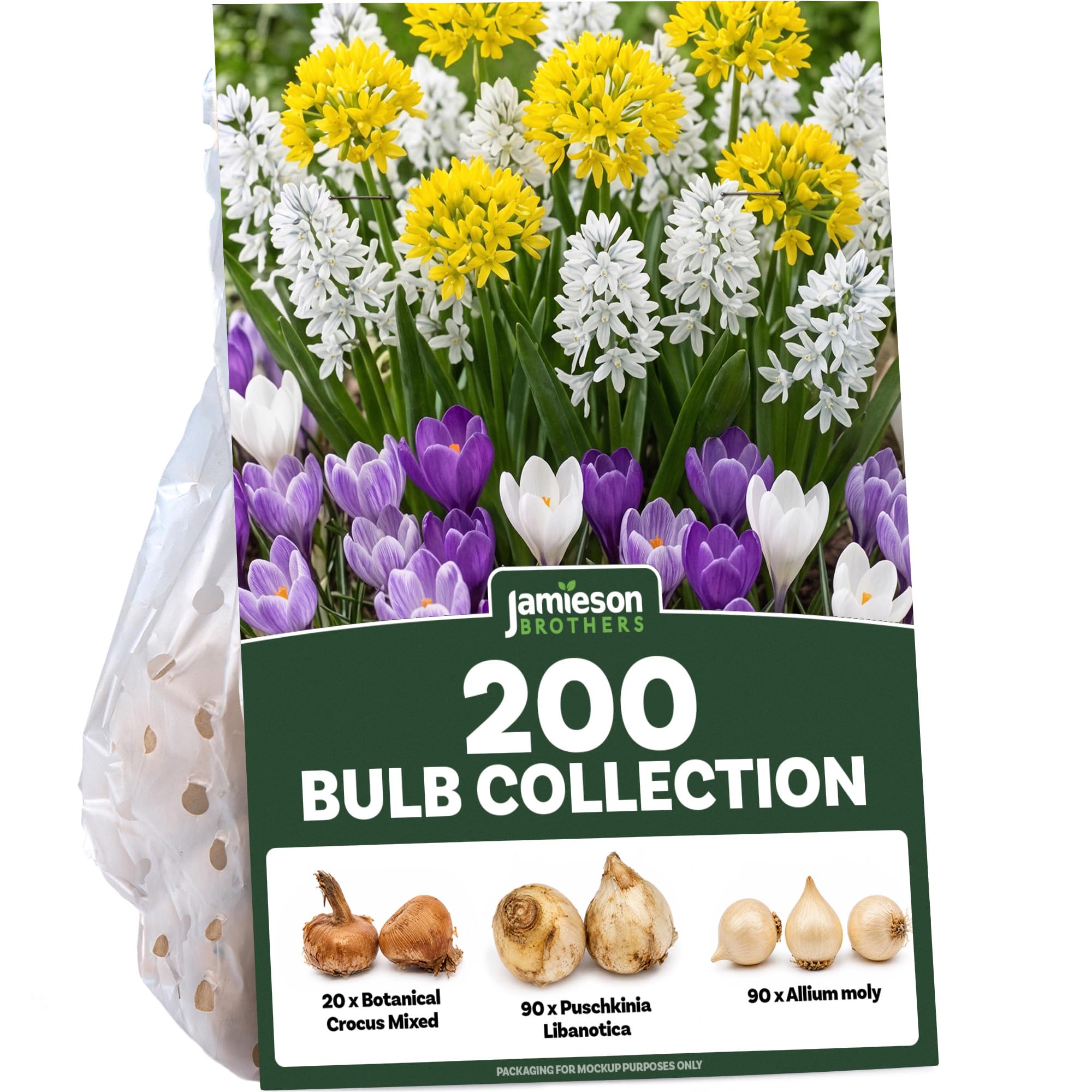 200 x Spring Flowering Bulbs Mixed Pack, 200 Bulbs, Autumn Planting Garden Collection Kit (Allium Moly, Puschkinia & Crocus) by Jamieson Brothers
