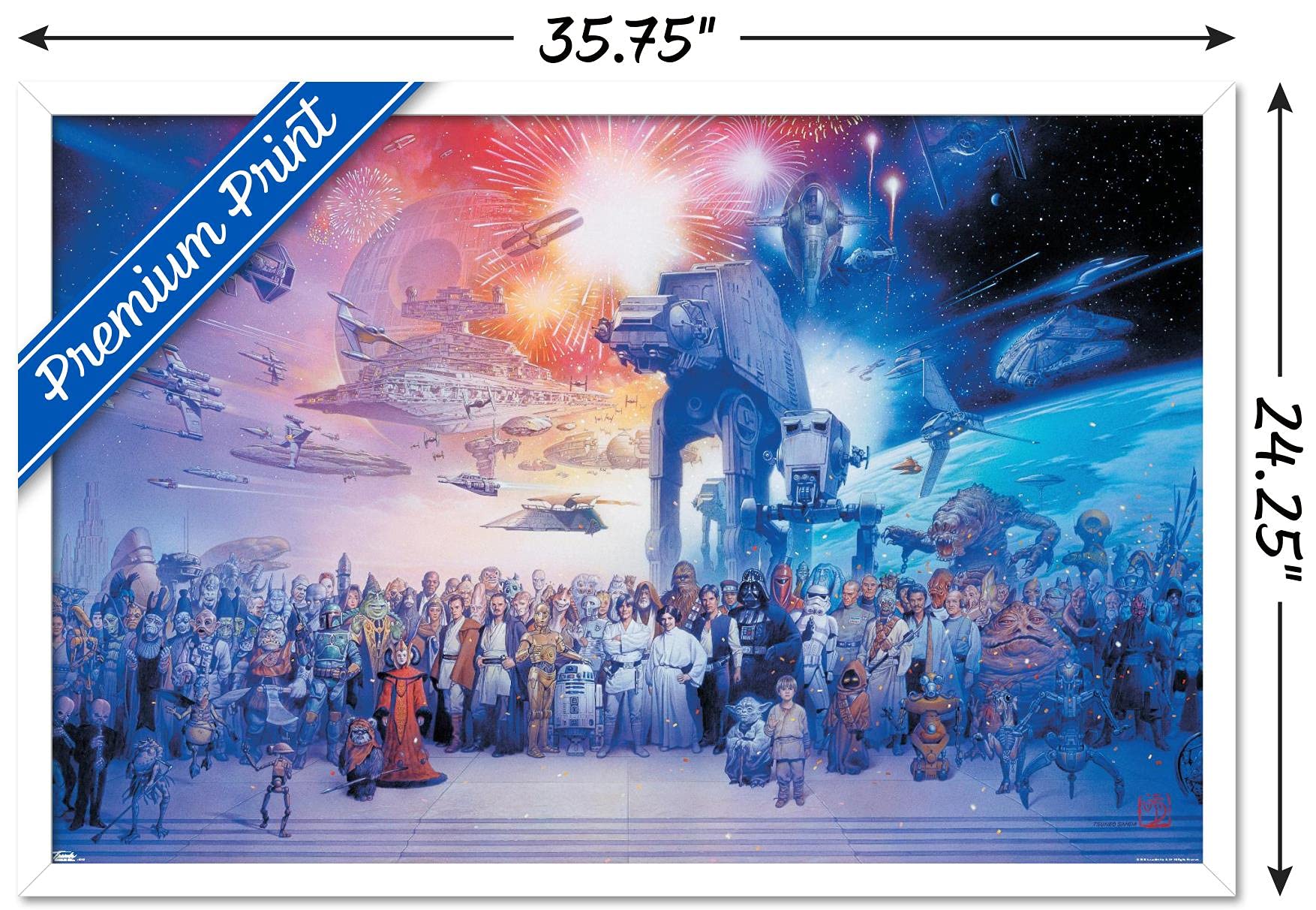 Amazon.com: Star Wars: Saga - Galaxy Wall Poster, 34L