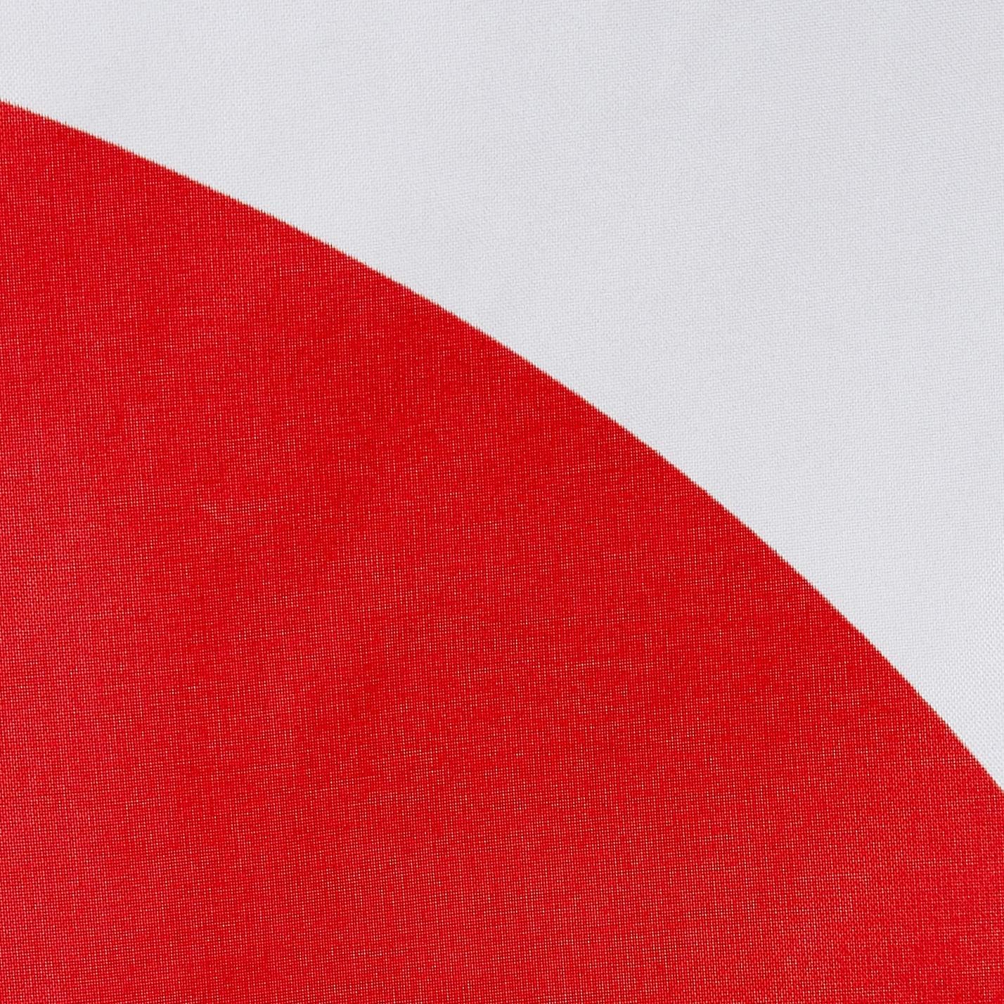 Annin Flagmakers Japan Flag USA-Made to Official United Nations Design Specifications, 4 x 6 Feet (Model 194310)