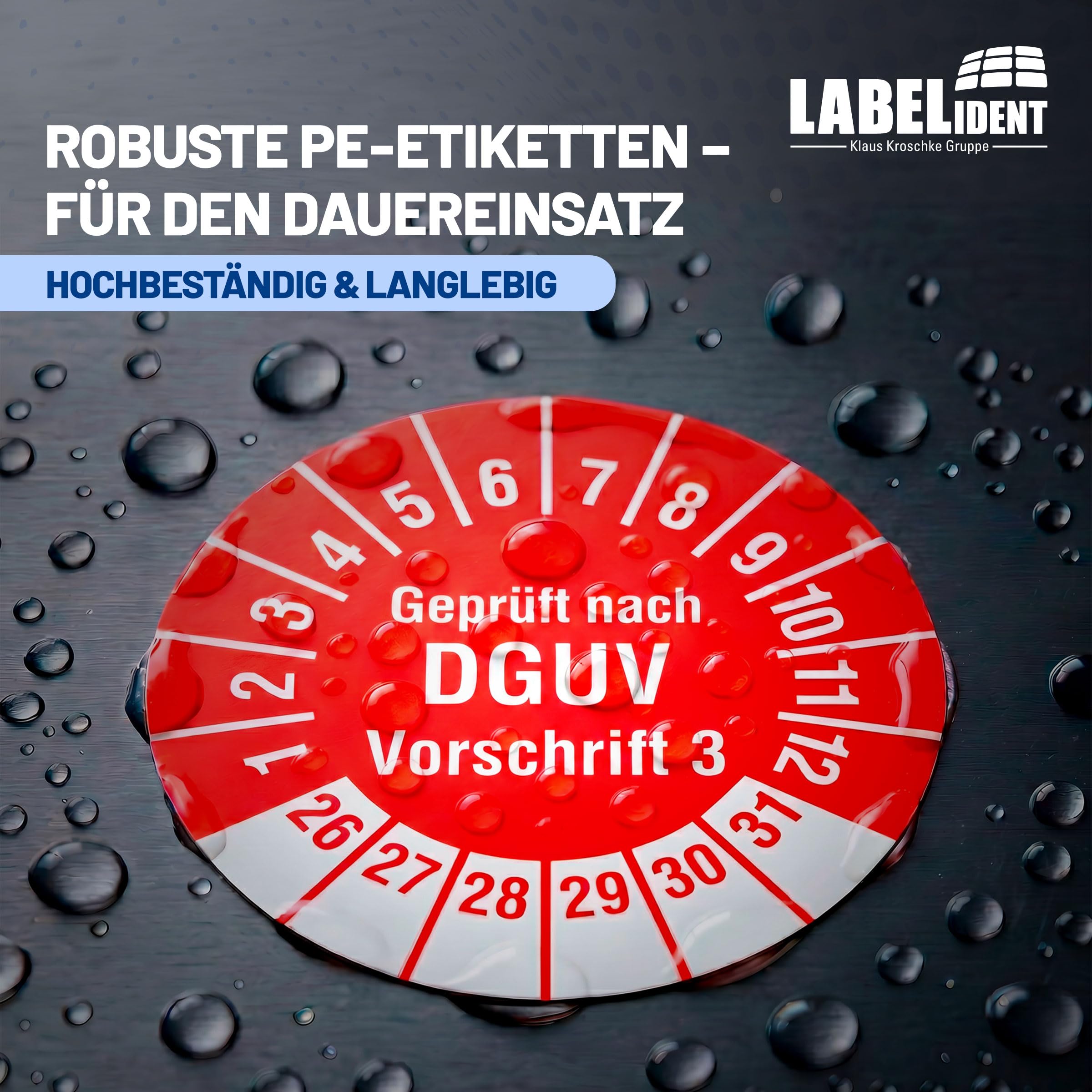 Labelident Prüfplaketten Geprüft nach DGUV Vorschrift 3 - Ø 20 mm - 1.000 auf Rolle, 2026-2031, selbstklebend