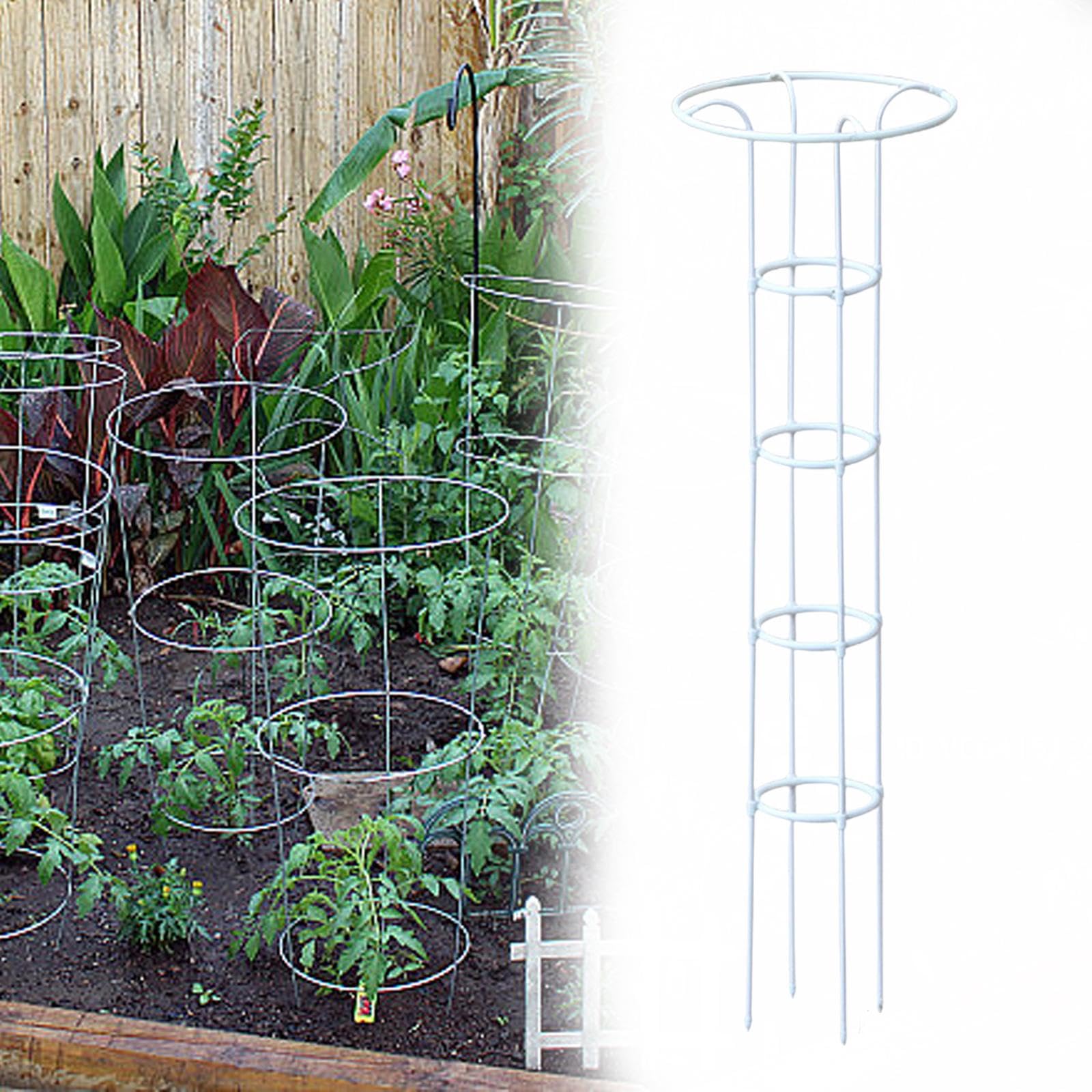 Enrejado para Plantas Soporte Decorativo para Enredaderas Material Resistente Fácil Instalación Adecuado para Jardines Macetones Y en, Blanco, 160 Centímetros