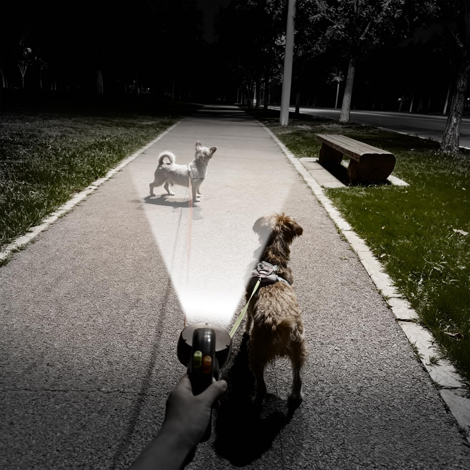 Correa Retráctil Doble para Perros, Correa para Mascotas Correa Automática 1 Remolque 2 Correa Retráctil para Perros con Linterna y Dispensador de Bolsas