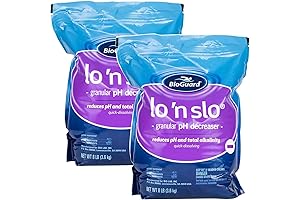 BioGuard Lo 'N Slo pH Decreaser for Pools, 8 lb, Pack of 2