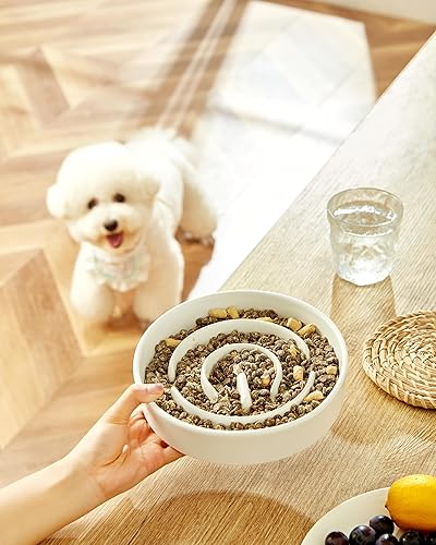 Miniatura 2 de Cuencos de cerámica para perros de alimentación lenta, 2.0 tazas de comedero lento para perros medianos y grandes, cuenco de laberinto de