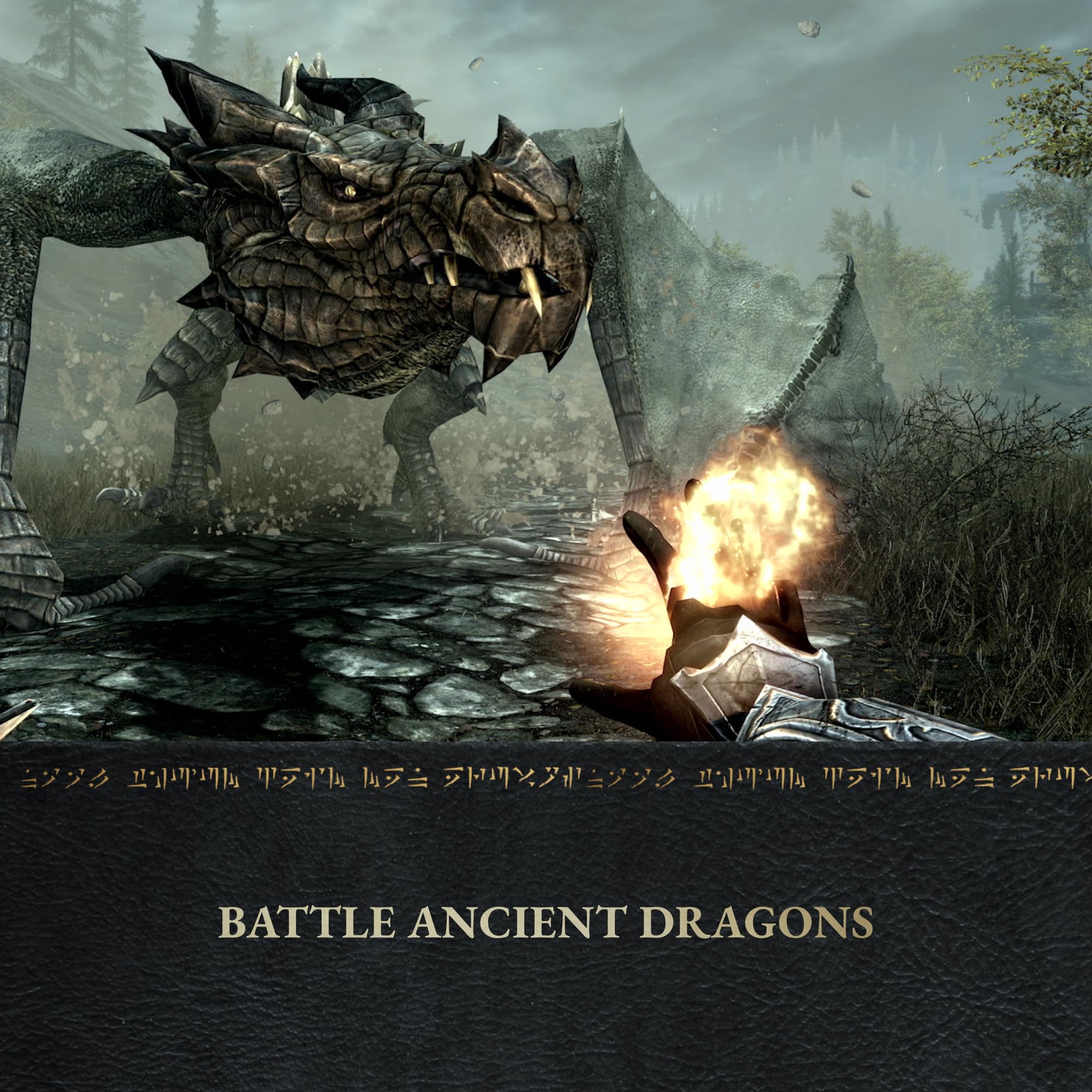 Amazon.com: The Elder Scrolls V: Skyrim Anniversary Edition