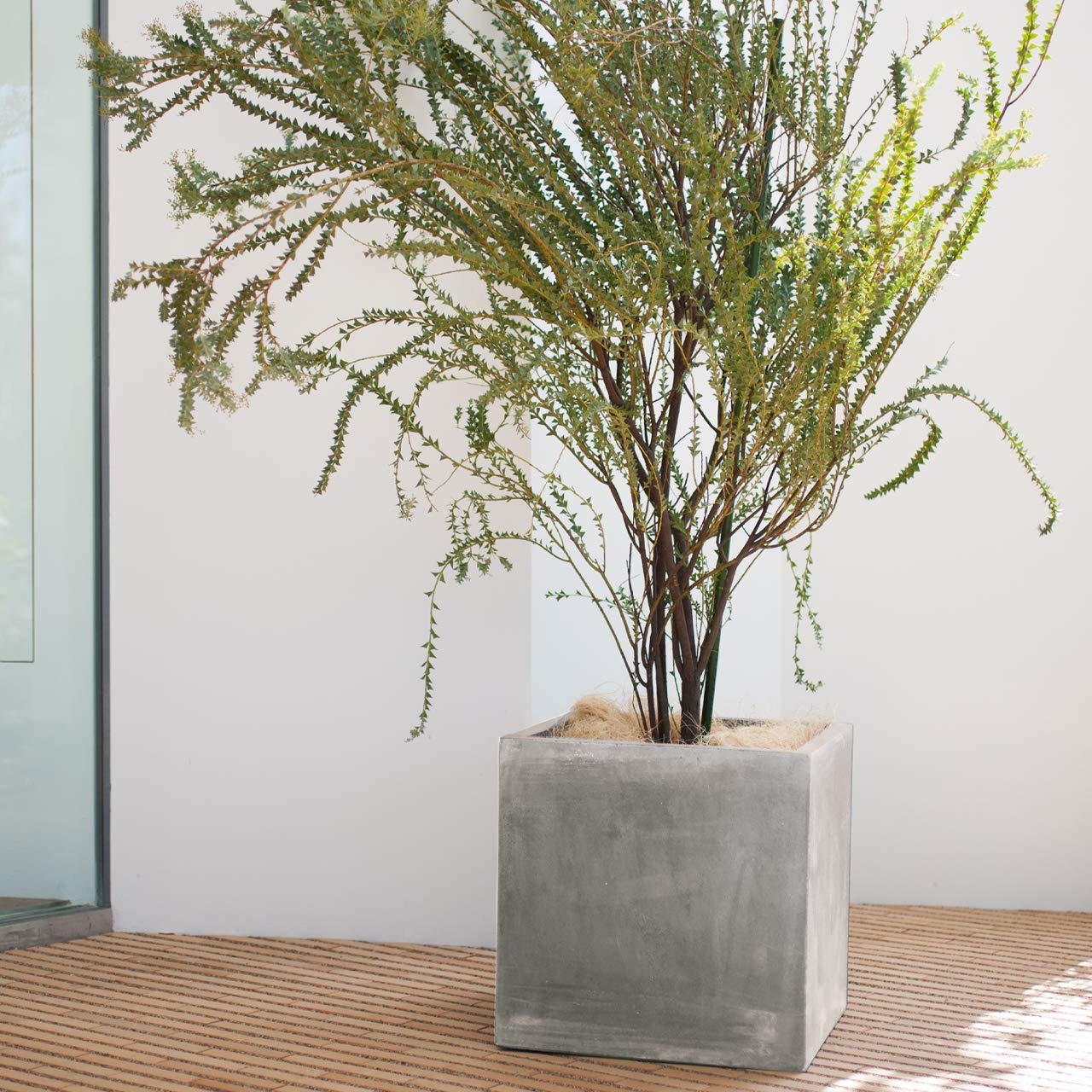 Amazon | 植木鉢 大型 コンクア キューブ M 45 | 鉢