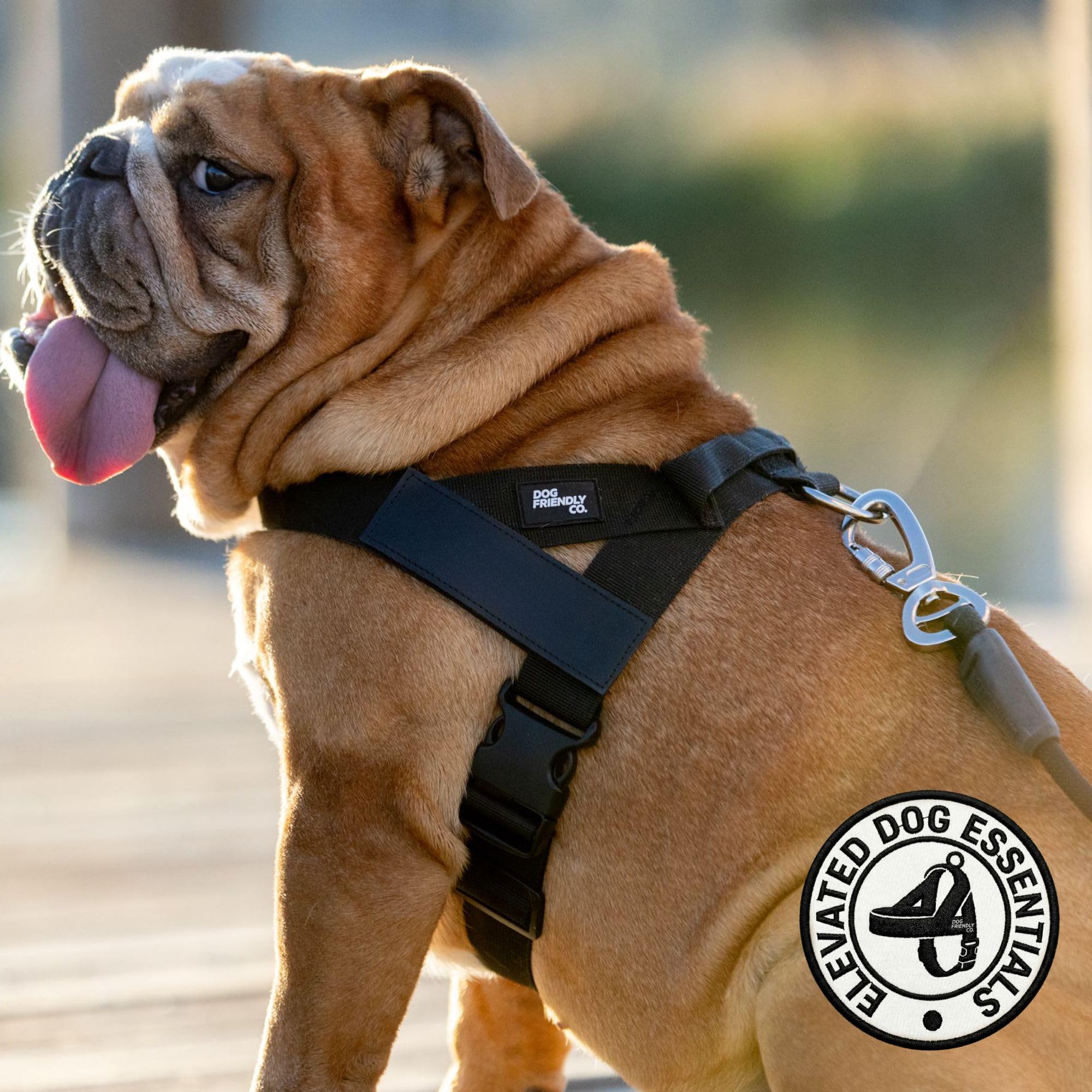 Dog Friendly Co. Hundegeschirr für große Hunde, kein Ziehen, Schwarz, Größe L