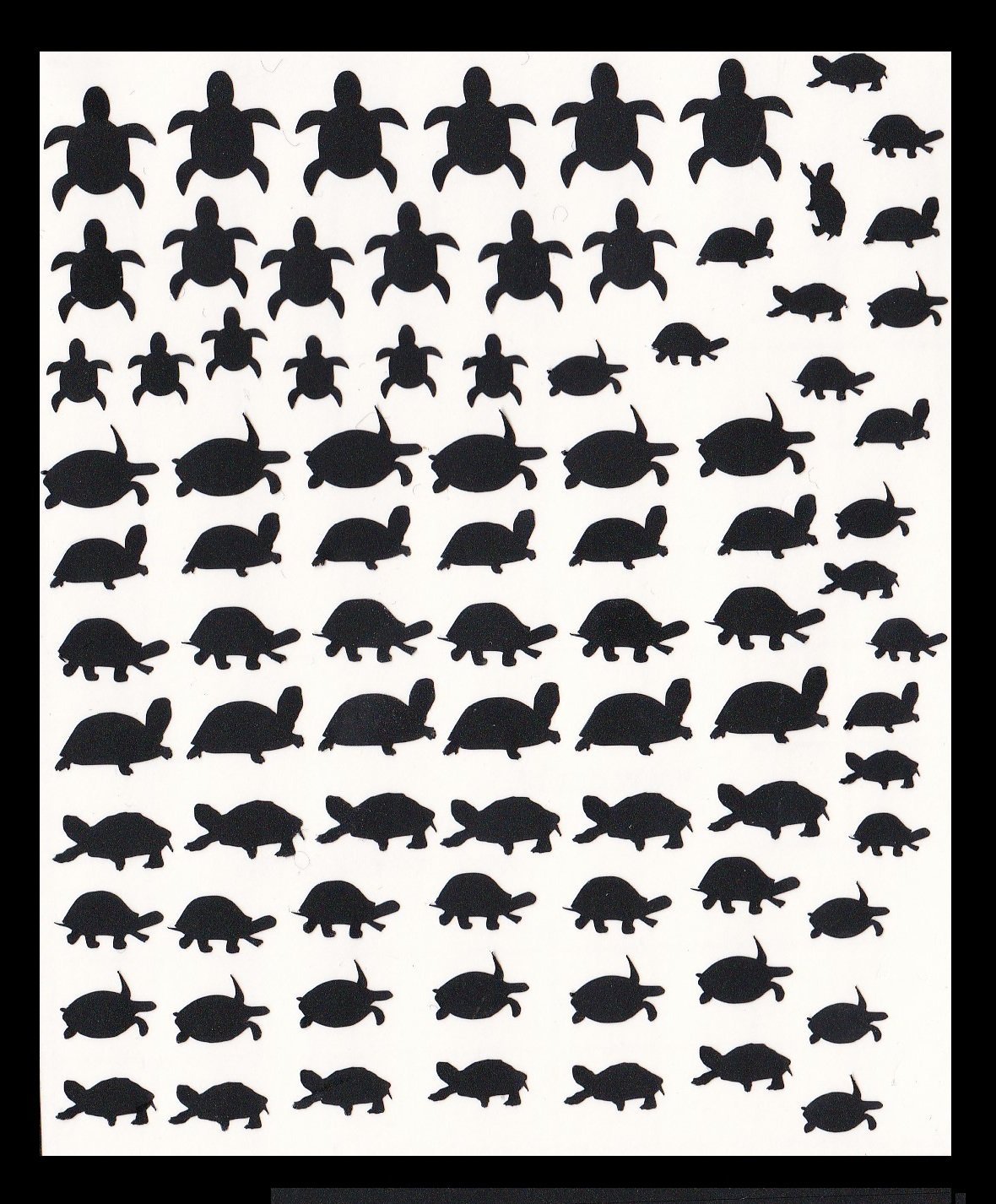 Kaz Creations Turtle Tortoise Peel And Stick Nail Stickers Black Turtle Tortoise Collection (Turtle Tortoise Peel And Stick Nail Stickers Black)