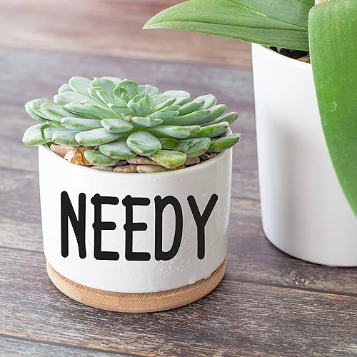 Miniatura 5 de JENVIO Maceta pequeña de cerámica para suculentas para amantes de las plantas, maceta única de cumpleaños para el día de la madre, decoración para