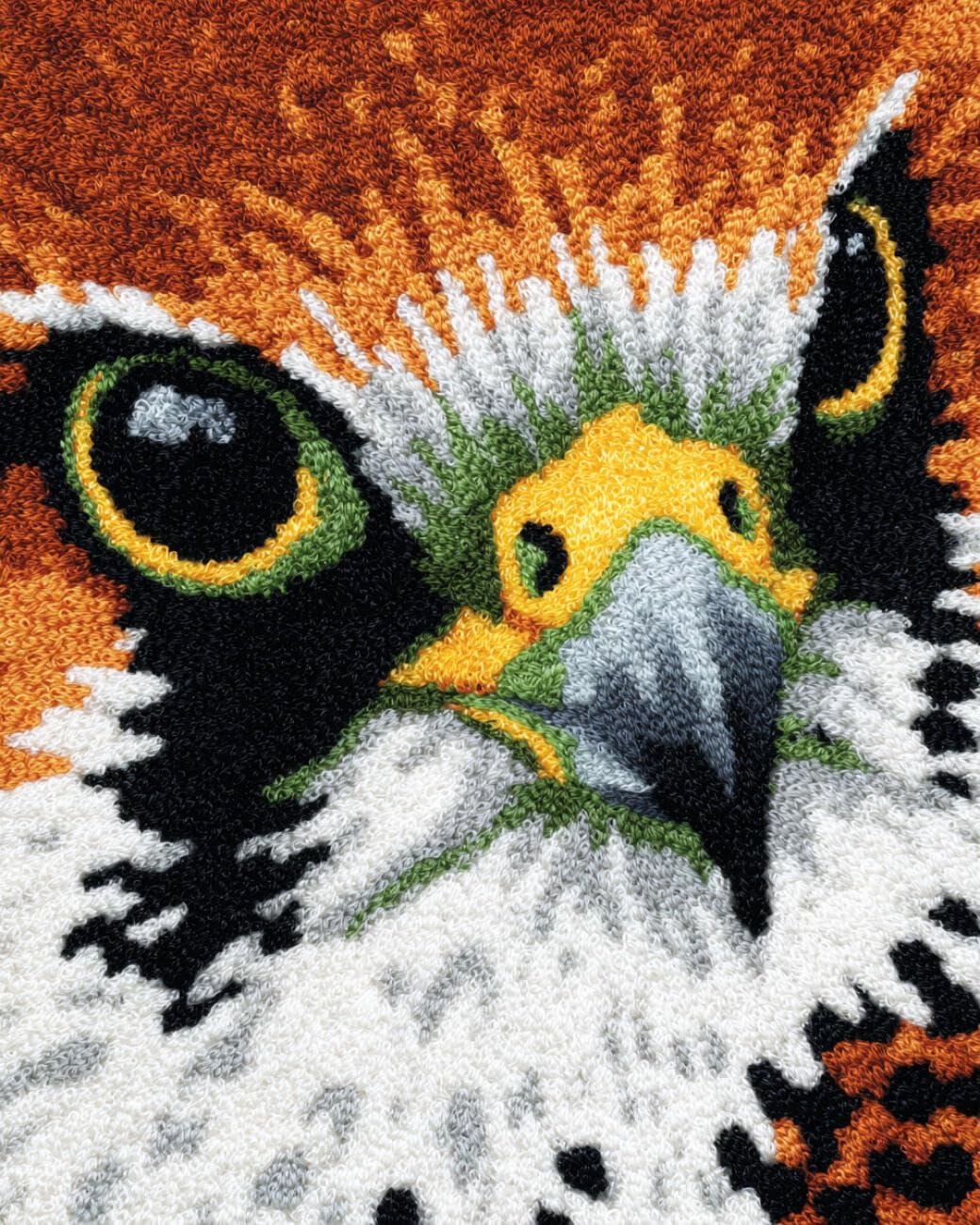 AMBATTERY Latch Hook Rug Kit Cartoon Eagle 85x115cm