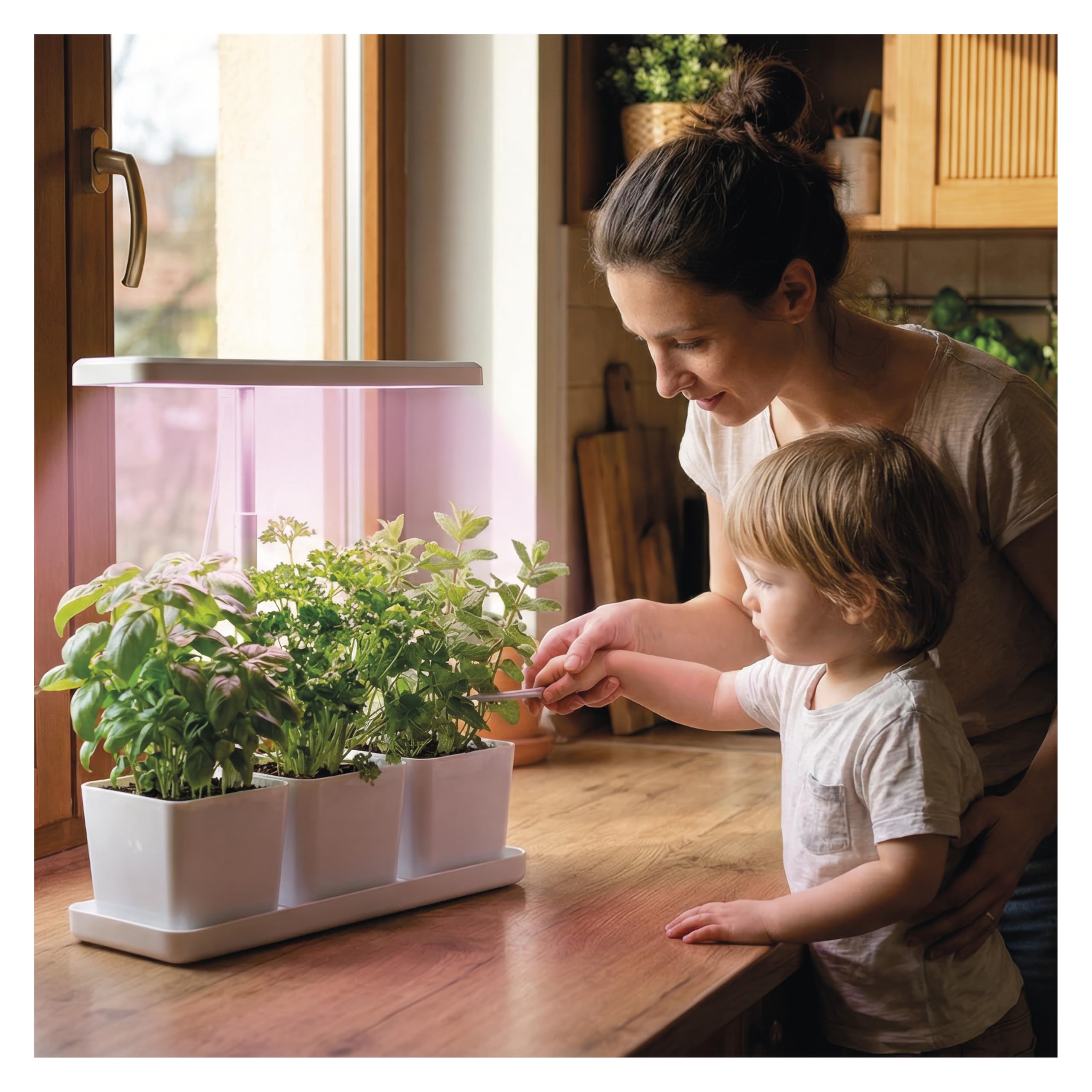 EMOS - Lampada a LED per coltivazione di erbe e piante da interno - Lampada per la crescita con 3 vasi da fiori e timer, regolabile in altezza - Luminosità 300lm - Cavo di ricarica USB-A da 1,7 m