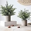 Product Photo 4