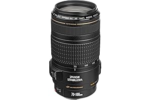 EF 70-300mm f/4-5.6 IS USM Lens for Canon EOS SLR Cameras