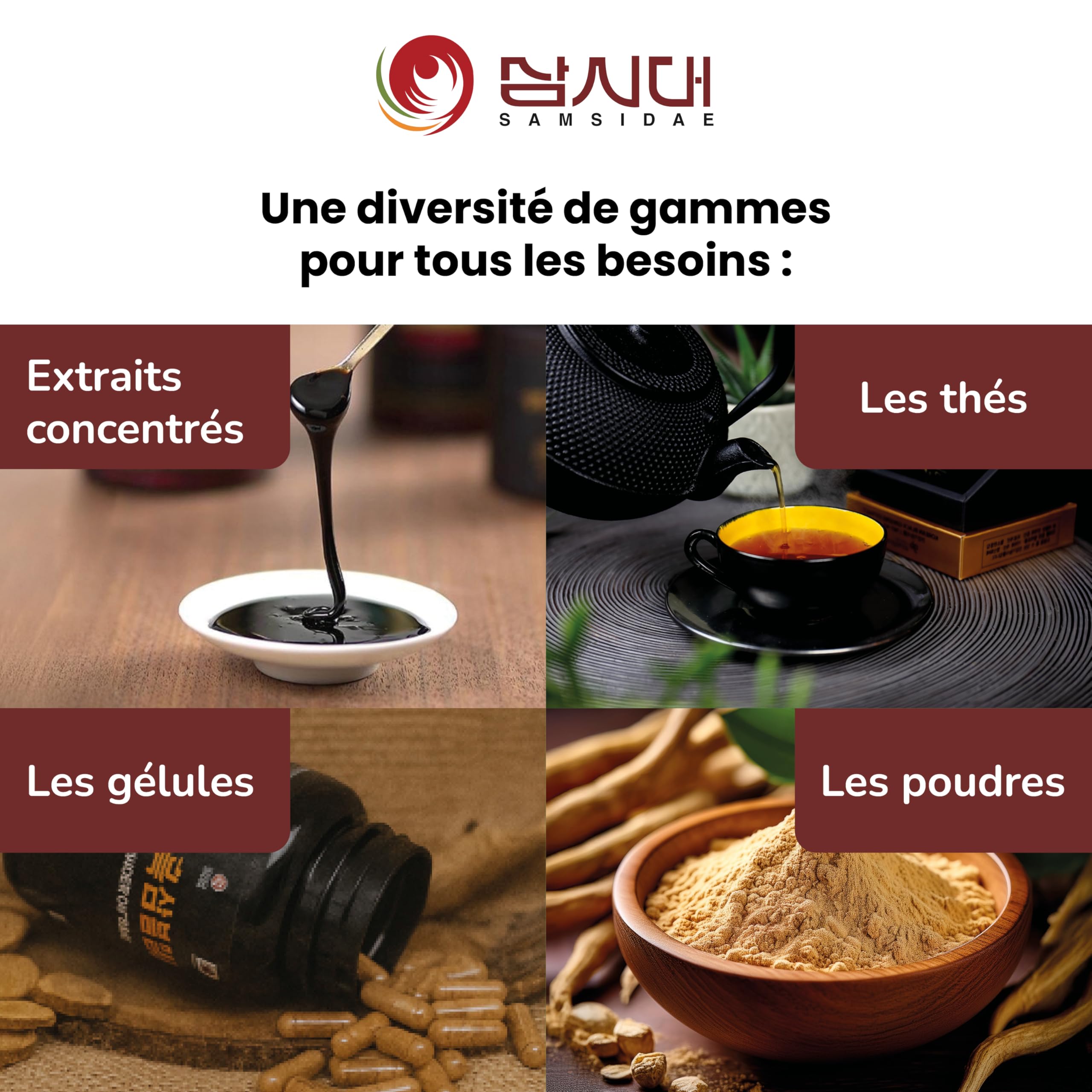 SAMSIDAE - Extrait Gold de Ginseng Rouge Coréen, Concentration Maximale en Ginsénosides 13 mg/g, Racines de 6 ans, Qualité Supérieure, Cure de 45 Jours, 50g