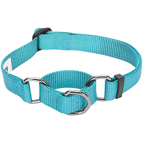 Blueberry Pet Collier Chien Martingale Classique Solide 1,5cm Petit Modèle