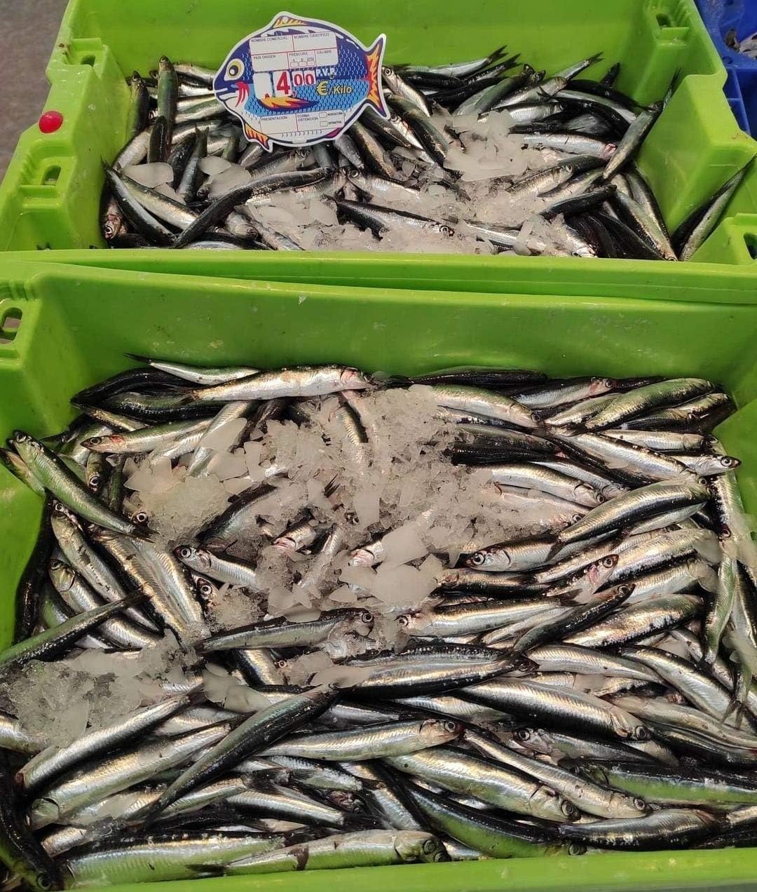 BALSAT Portaprecios pescaderia, Cartel para pescaderia, precios de pescaderia, pizarra precios, pincho pescaderia mod. Nemo - 12 ud.