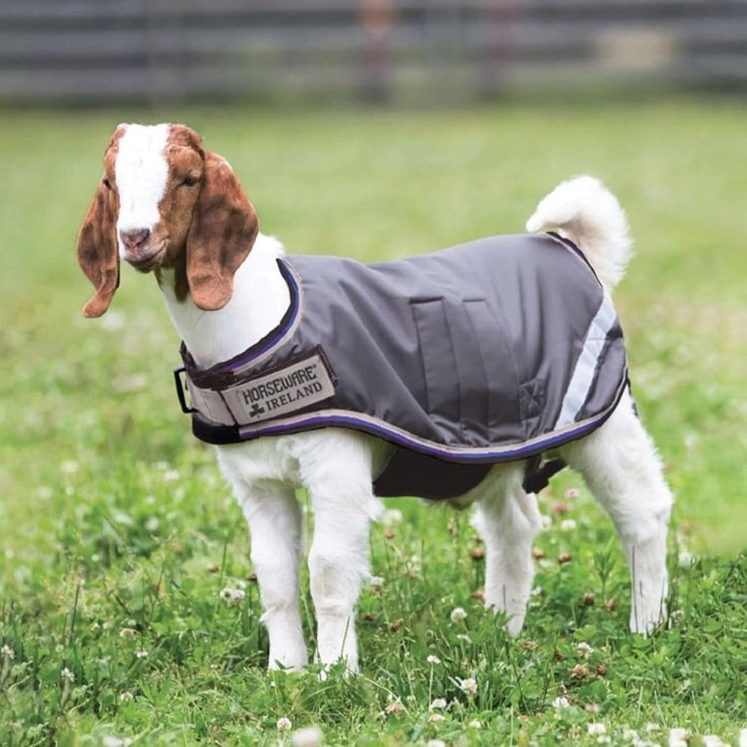 Horseware® Goat Coat (100g Light)