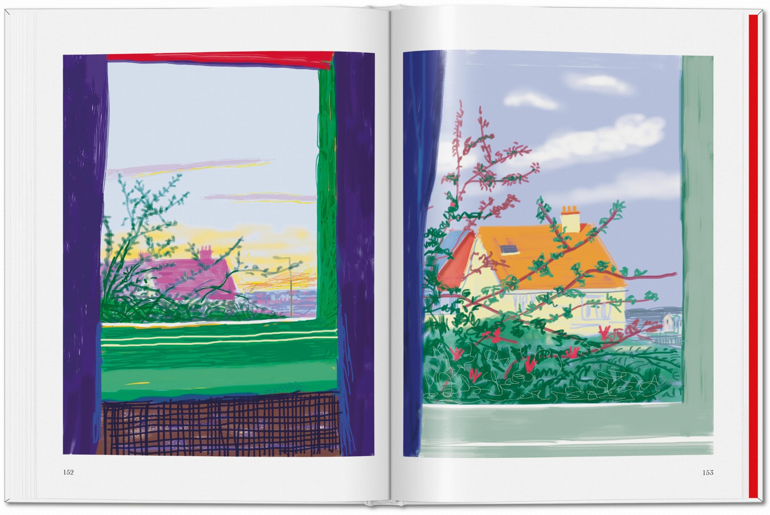 David Hockney: My Window