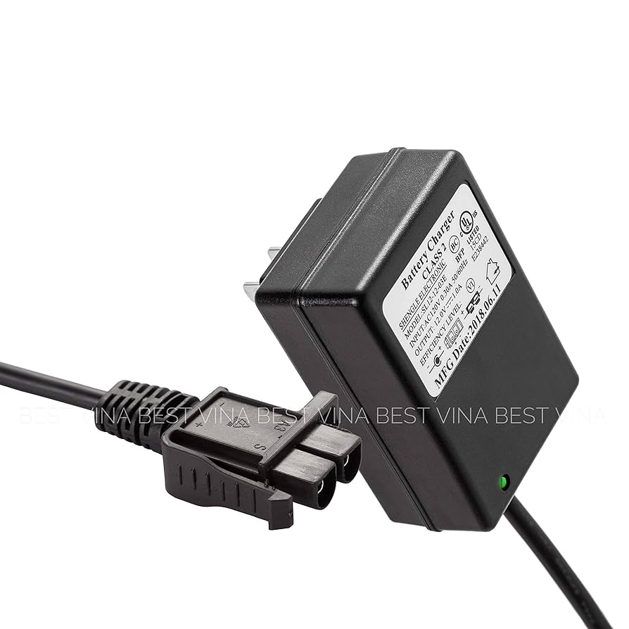 Amazon.com: 12 Volt Battery Charger for Kids Powered Ride On