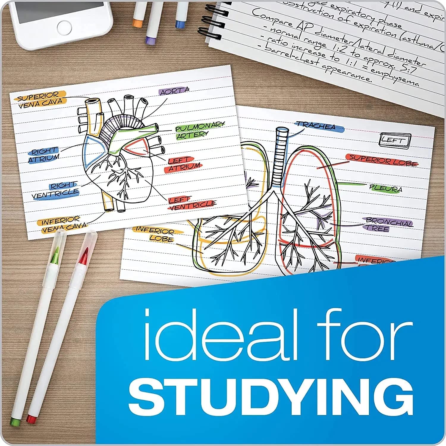 True-Ally Big Size White Unruled Index Cards - 4x6 inch, 150 Sheets, 200 GSM with Free Binder Rings 4