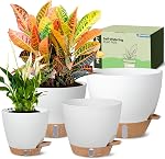 Self-Watering Pots for Indoor Plants 4 Pack, 6/8/10/12 Inch Outdoor Planters with Water Level Indicator&Deep Reservoir, Decorative Flower Pots for Indoor Plants,Home Decor (Black, 12+10+8+6 inch)