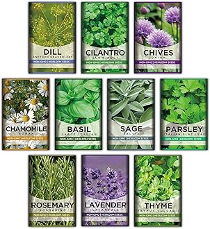 Meekear 10 Kit Non-GMO Growing into Thyme, Lavender, Chamomile, Dill, Chives, Cilantro, Rosemary, Basil, Parsley, Sage Indoor/Outdoor for Kitchen Windowsill Gardening Gift