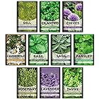 David's Garden Seeds Herb Mint Spearmint (Green) 50 Non