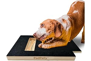 Dogs Scratch Square Pad Grooming Tool – PadPally Nail File Toy with Treat Dispenser