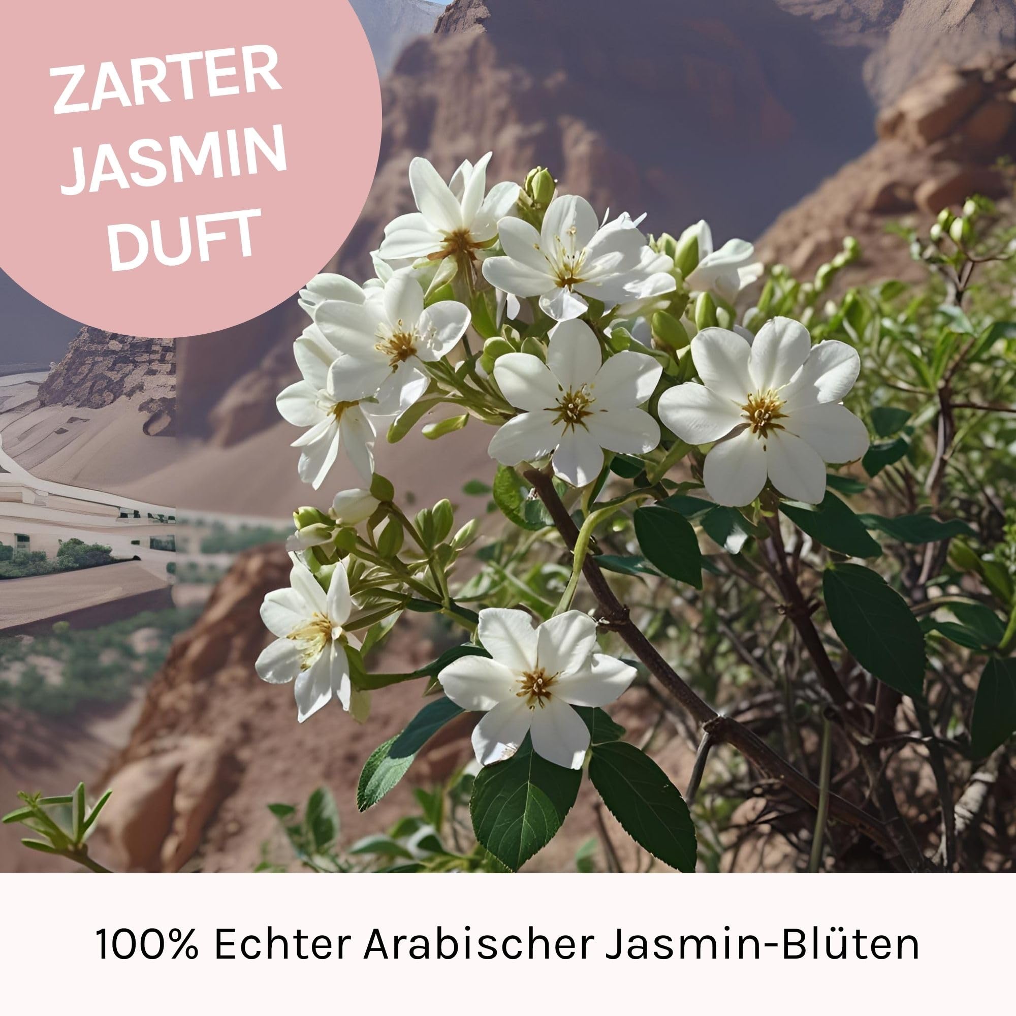 Jasmin Salbe für Augen - LENEVIN Augencreme gegen Falten und Augenringe entfernen - Testsieger F.A.Z. 2025 - Bio Aktiv Jasminsalbe - Frauen und Männer, 1% Vit. E - 0,1% Hyaluron, sensible, reife Haut
