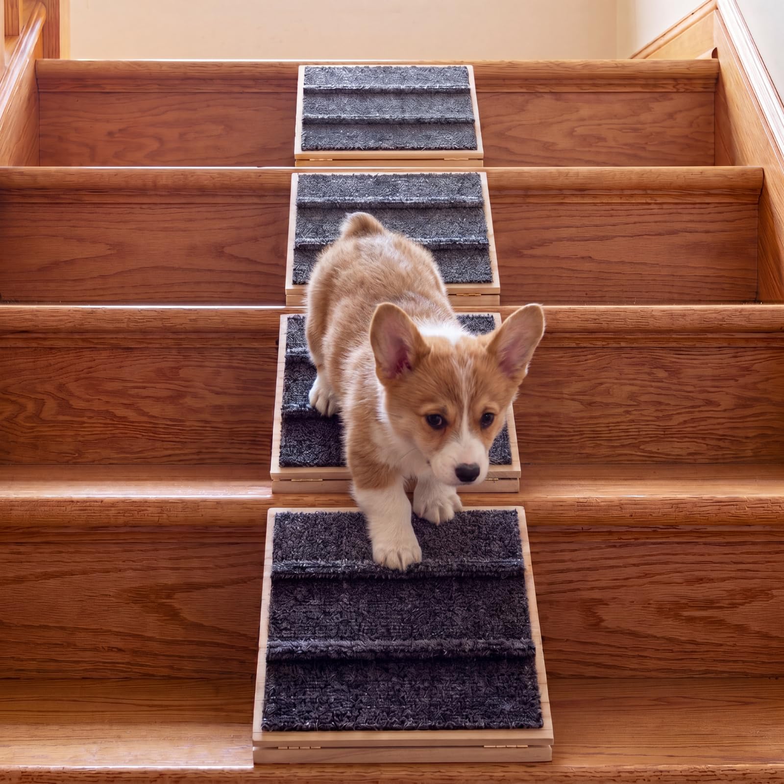 Photo 1 of Cinnvoice Adjustable Wood Dog Ramp with Non-Slip Surface