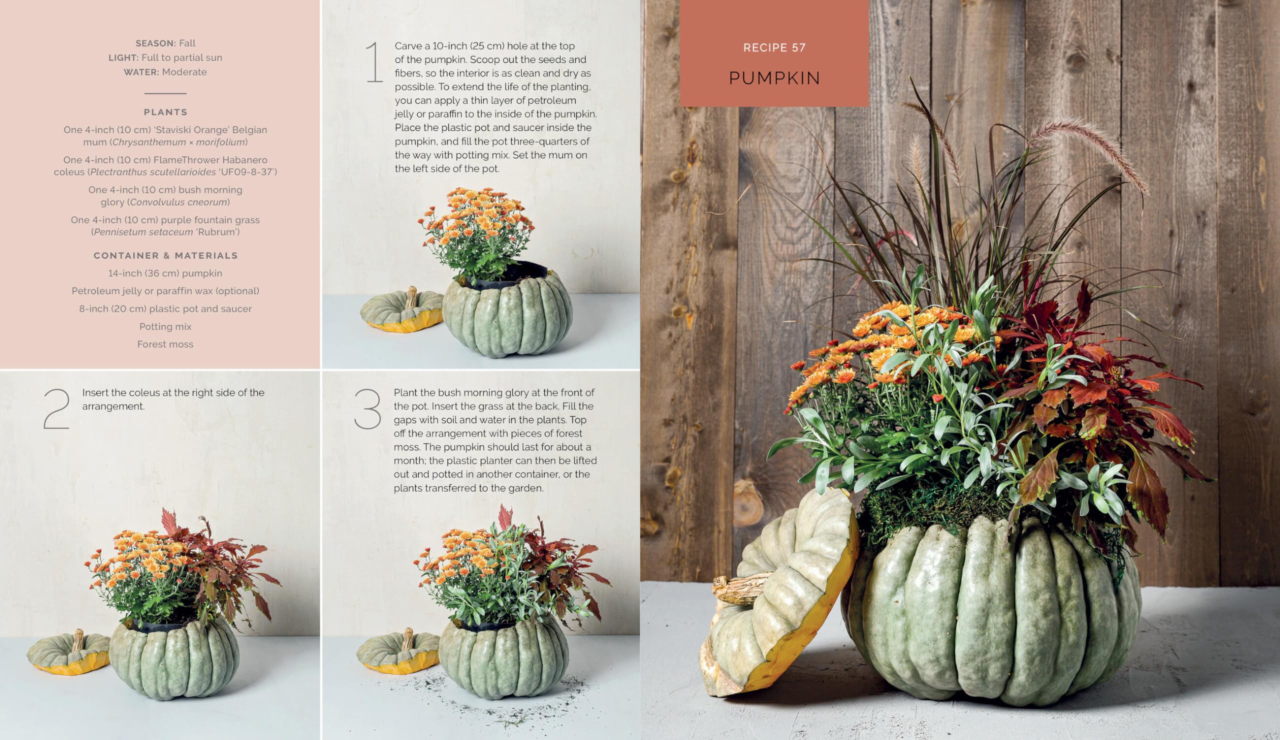 The Container Garden Recipe Book: 57 Designs for Pots, Window Boxes, Hanging Baskets, and More