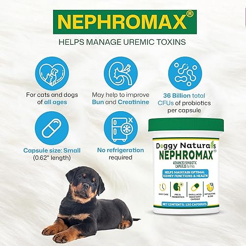 Miniatura 4 de NEPHROMAX Cápsulas Synbiotic Perros Gatos 240